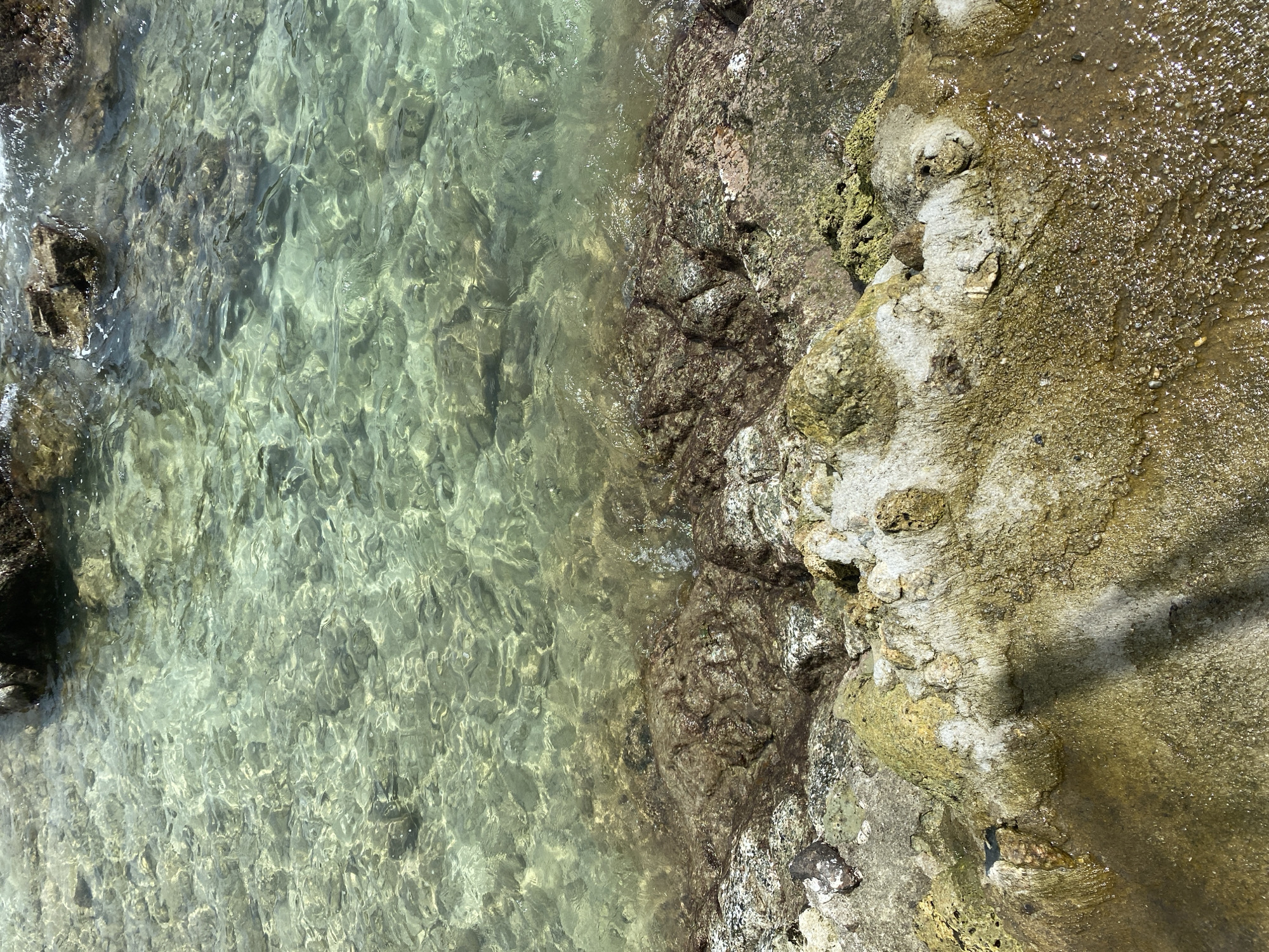 The image depicts a close-up, eye-level view of a rocky coastline at the sea's edge. The water is exceptionally clear and shallow, revealing a sandy and rocky seabed. The sunlight creates a shimmering effect on the water's surface, highlighting the textures of the underwater rocks and stones. The shoreline itself is composed of various types of rocks, some smooth and worn by the water, others rough and covered in patches of moss or algae. The colors range from muted grays and browns to vibrant greens and whites. In the foreground, larger, weathered rocks are prominently featured, with some areas appearing wet and reflecting the light. The background shows more submerged rocks and the continuation of the clear water. The scene is a natural outdoor environment, likely a beach or cove, with no human presence or man-made objects visible. The location is identified as Ko Pha Ngan, Thailand, suggesting a tropical or subtropical coastal setting.