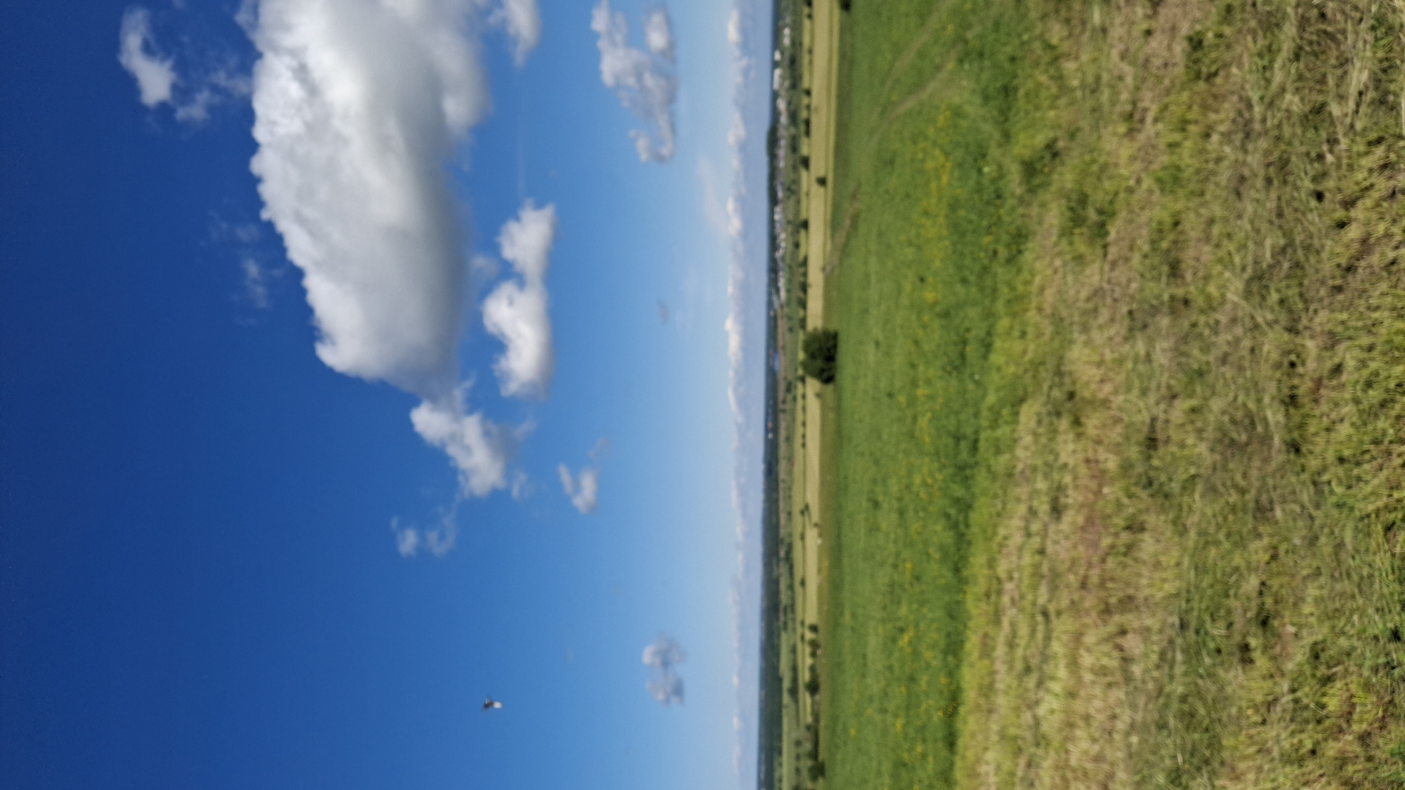 A wide-angle, slightly blurred landscape shot depicts a rural scene under a clear blue sky dotted with scattered white clouds. The foreground is dominated by a mown field with visible straw. Beyond this, a lush green field stretches out, featuring small patches of yellow wildflowers and a solitary dark green tree. In the distance, a line of trees forms a treeline, beyond which a small settlement with buildings is visible. The sky is bright, suggesting a sunny day. There are no people or animals clearly identifiable in the image. The overall impression is one of a peaceful, open, rural environment in Kaporskoe, Russia.