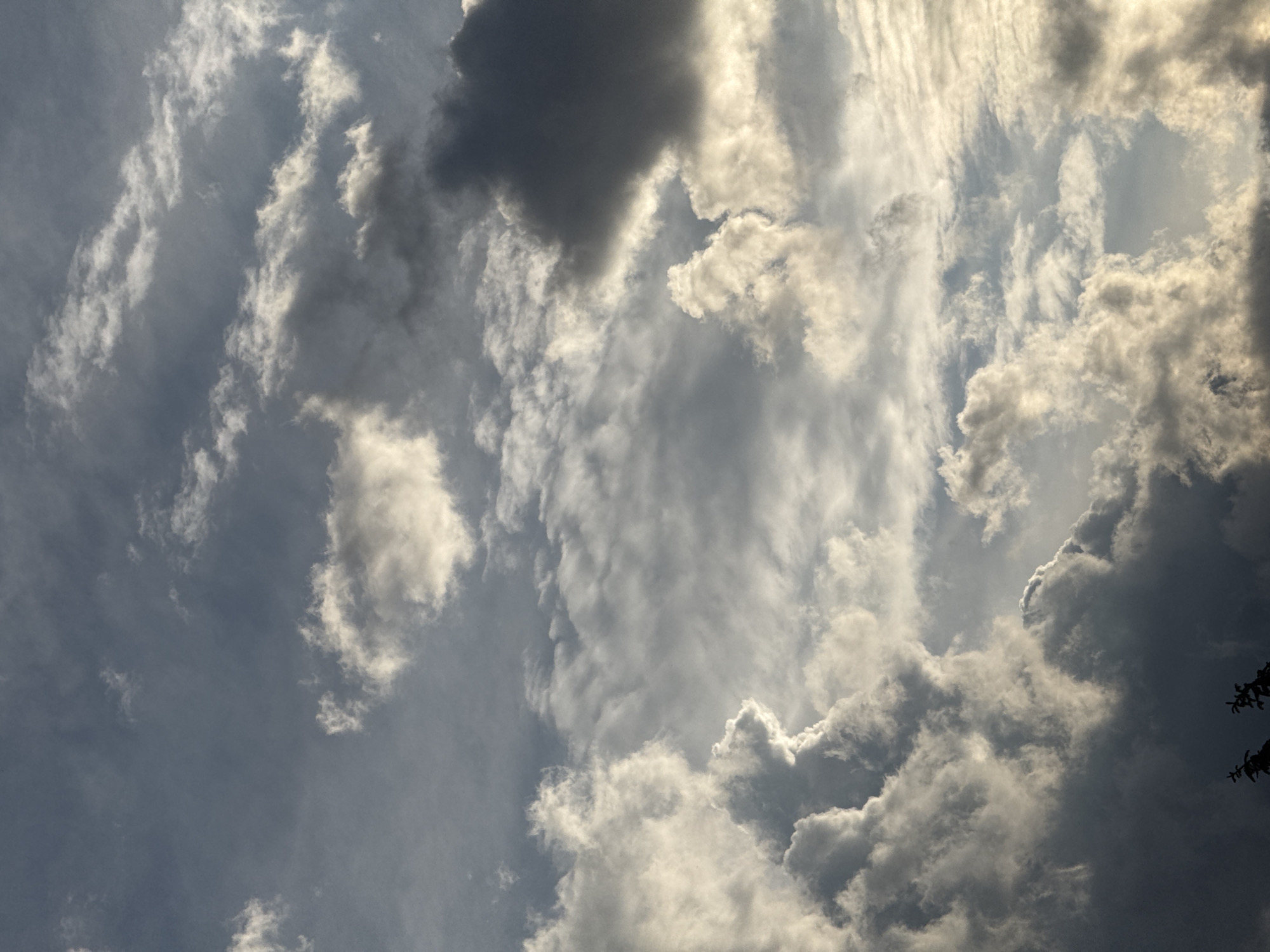 The image captures a dynamic sky scene, primarily featuring various cloud formations. The sky is filled with a mix of clouds, ranging from bright, luminous white clouds that are heavily backlit, suggesting direct sunlight, to darker, heavier gray and almost black clouds, some of which appear to be casting shadows.
The lighting indicates either an early morning or late afternoon, with the sun likely positioned behind or partially obscured by the clouds, creating strong contrasts. The edges of many clouds are brightly illuminated, displaying silver and golden hues, while their undersides and deeper sections remain in shadow. Patches of lighter, clearer sky, appearing as a soft blue-gray, are visible in some areas, particularly towards the left and center of the frame, peeking through the cloud cover.
The cloud types vary, with some appearing wispy and elongated, possibly cirrus or altocumulus, while others are more dense and voluminous, resembling cumulus or stratocumulus clouds. In the bottom right corner of the original image, a dark, indistinct silhouette of what appears to be tree branches or foliage can be seen, providing a slight hint of a terrestrial element, but the overwhelming subject is the vast expanse of the sky.
No specific activity or event is taking place, and no people or man-made objects are distinctly visible. The weather appears partly cloudy with bright periods. There is no visible text in the image. The location context is Sofia, Bulgaria, though the image itself offers no specific geographical cues.