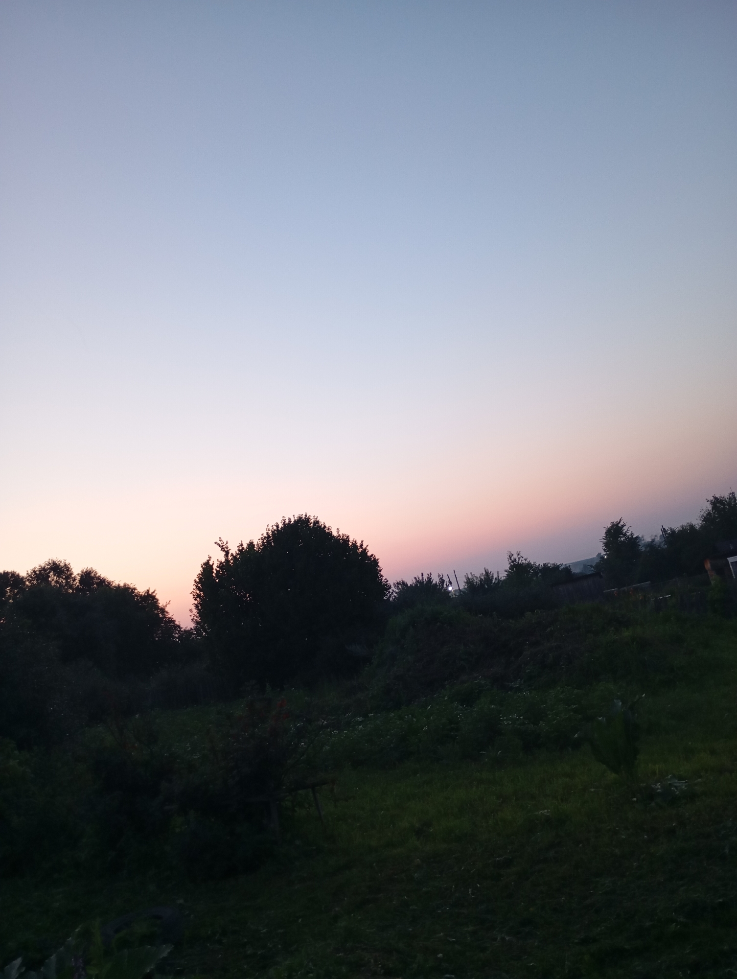 The image depicts a twilight scene in a rural area, likely in Фоки, Russia. The sky transitions from a pale blue at the top to a soft pinkish hue near the horizon, indicating either sunrise or sunset. Silhouetted against the colorful sky is a dense line of dark green trees and foliage. One particularly large, bushy tree stands out in the mid-ground.
The foreground is a field of dark green grass, with some patches appearing darker, suggesting it's late in the day and shadows are lengthening. Scattered within the vegetation are hints of man-made structures, possibly small buildings or sheds, visible as dark shapes in the distance. The overall impression is one of quiet and natural beauty at the edge of day. There are no people or identifiable objects that would suggest a specific activity or event. The mood is tranquil and serene. No text is visible in the image.