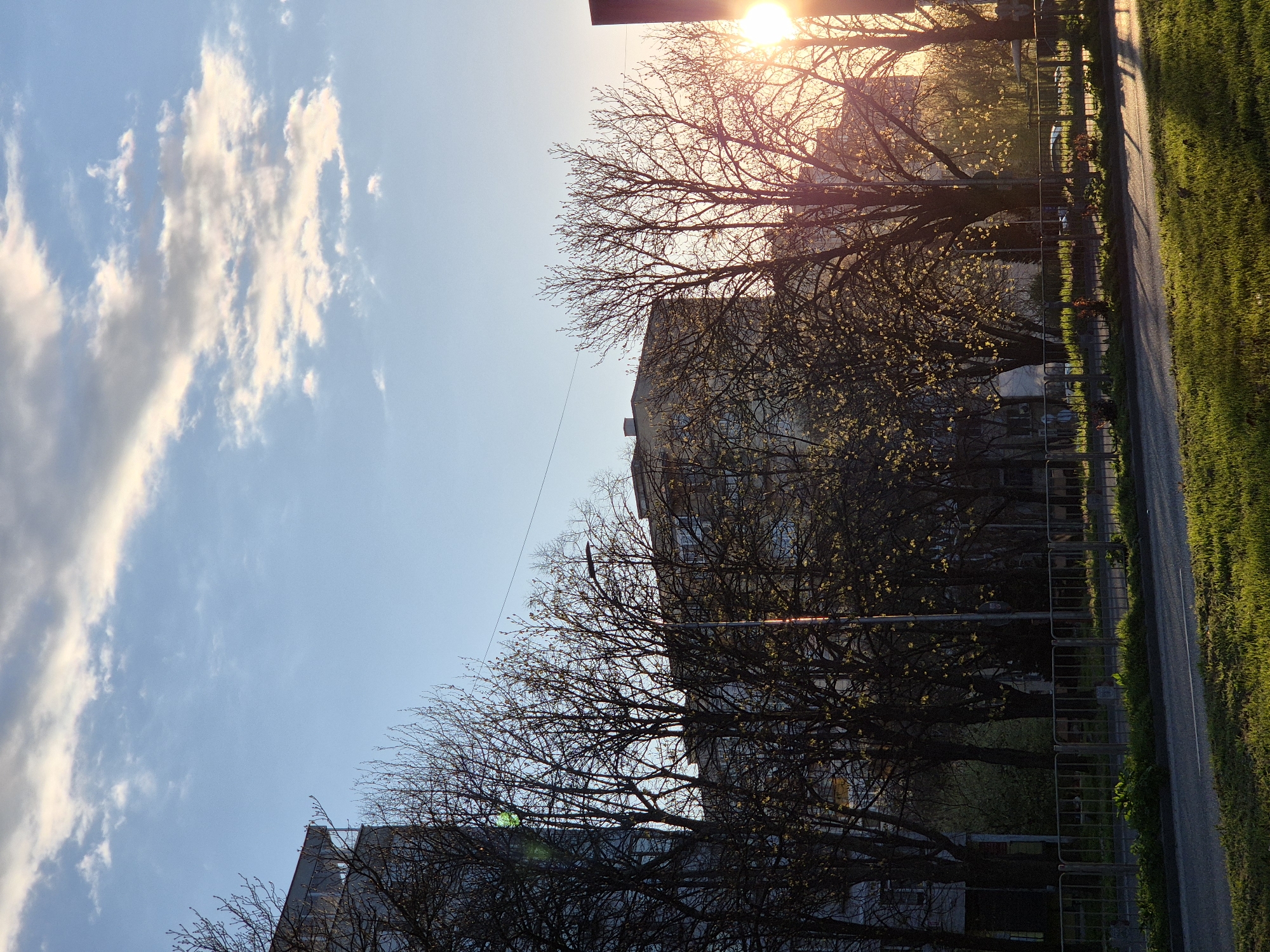 The image presents a street scene in Varna, Bulgaria. A residential building is partially visible, framed by bare trees with emerging buds. The sun is positioned high in the sky, creating a backlight effect. A stretch of green grass runs along the right side of the frame, bordering a sidewalk or road. The sky above is blue with scattered white clouds.