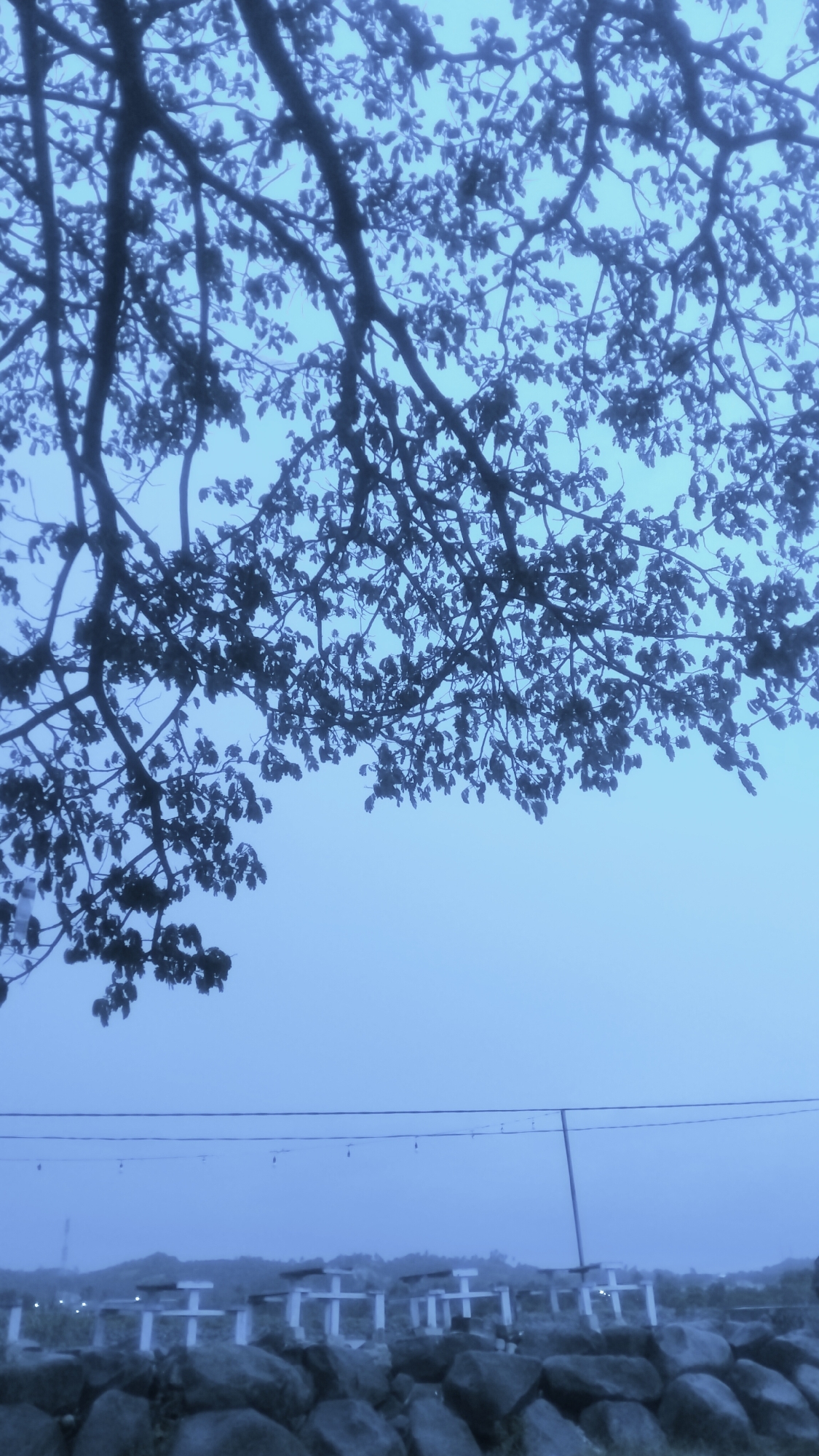 The image depicts an outdoor scene bathed in a strong blue-grey hue, suggesting either dawn, dusk, or heavily overcast conditions. The upper portion of the frame is dominated by the dark, intricate silhouette of tree branches and abundant foliage, contrasting against a lighter, hazy blue sky.
In the midground, a substantial line of large, dark, irregular rocks forms a boundary. Behind these rocks, several white structures are visible, resembling picnic tables or small shelters with distinctive angled roofs. A string of lights, possibly decorative fairy lights, stretches horizontally across this area, supported by a thin pole on the right side of the frame.
The background reveals a vast, open sky, further obscured by haze or fog, allowing only faint outlines of distant hills or mountains to be discerned on the horizon. A few subtle points of light twinkle in the far distance, suggesting distant settlements or structures.
The scene is devoid of people or specific activities, conveying a sense of stillness and tranquility. The cool color palette and diffused lighting create a serene and atmospheric mood. The setting appears to be a public or recreational area, possibly a park or viewpoint, consistent with the location context of Lhokseumawe, Indonesia, which features coastal and hilly landscapes. There is no visible text in the image.