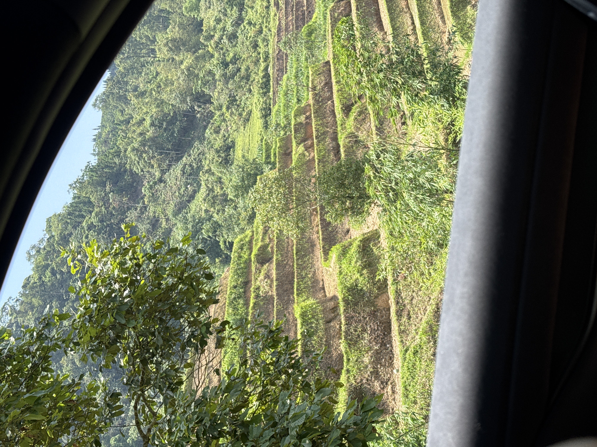 The image, likely taken from inside a vehicle, shows terraced fields in the vicinity of Vinh Quang, Vietnam. The fields are carved into a steep hillside, indicating agricultural use. Lush green vegetation covers both the terraces and the adjacent hillside. A portion of the vehicle frame is visible on both sides of the frame, obscuring part of the view.