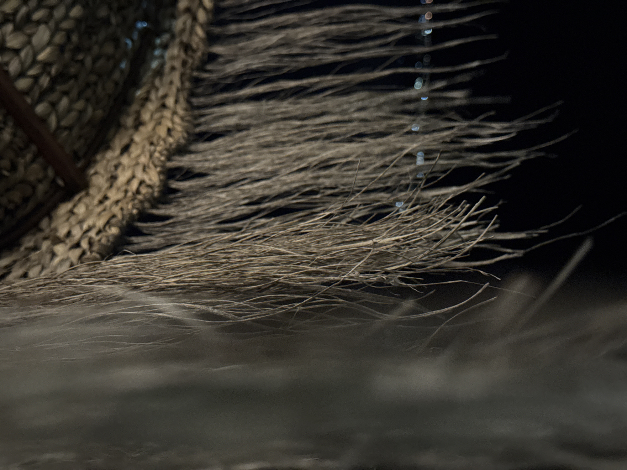 A close-up image shows a woven basket-like structure with a fringe of dried plant fibers. The fringe extends outward into a dark background with indistinct points of light, possibly from distant city lights, visible between the fibers. The foreground is blurred and dark, suggesting a surface very close to the lens. The woven material appears to be made of natural fibers in varying shades of tan and brown. There are no people visible. The location of Varna, Bulgaria, is not readily apparent from the image itself.