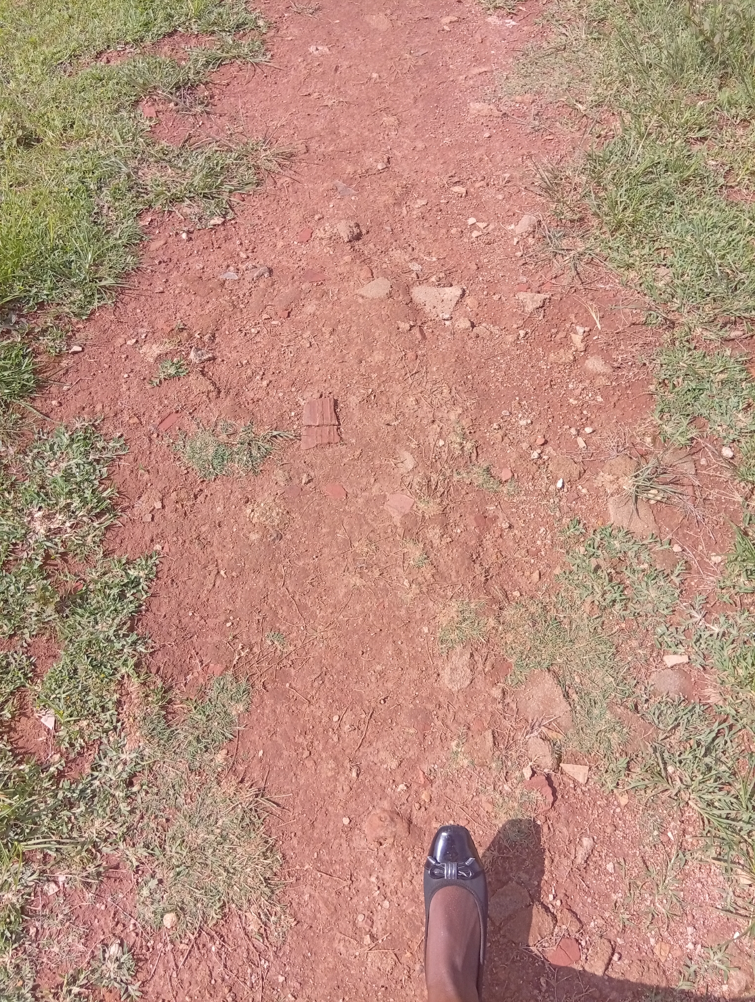 A person's foot, wearing a black flat shoe with a silver buckle, is visible in the lower right corner of the image. The shoe casts a shadow on the reddish-brown dirt path. The path is flanked by patches of green grass and scattered small rocks and debris. The scene appears to be outdoors, likely in a rural or undeveloped area, consistent with a location in Gwafan, Nigeria.