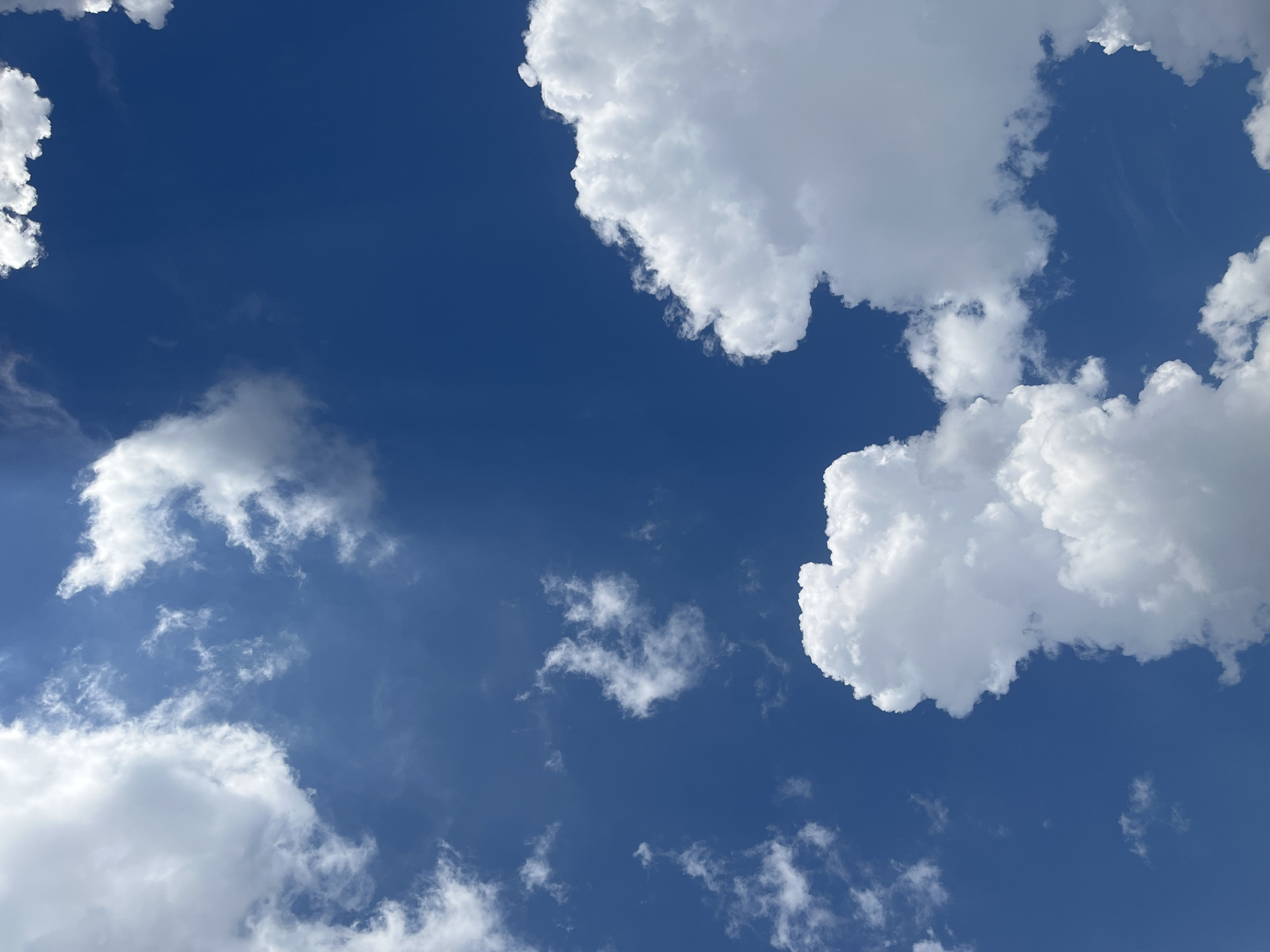 The image presents a daytime view of a bright blue sky scattered with white cumulus clouds. The clouds vary in size and shape, some appearing as large, puffy formations and others as smaller, wispy streaks. The sky is largely clear and unobstructed, revealing a deep blue hue. The image does not contain any identifiable landmarks or features that would confirm its location in Krasnodar, Russia, or any other specific geographic area. The scene contains no people, subjects, objects, actions, or interactions besides the presence of clouds in the sky.