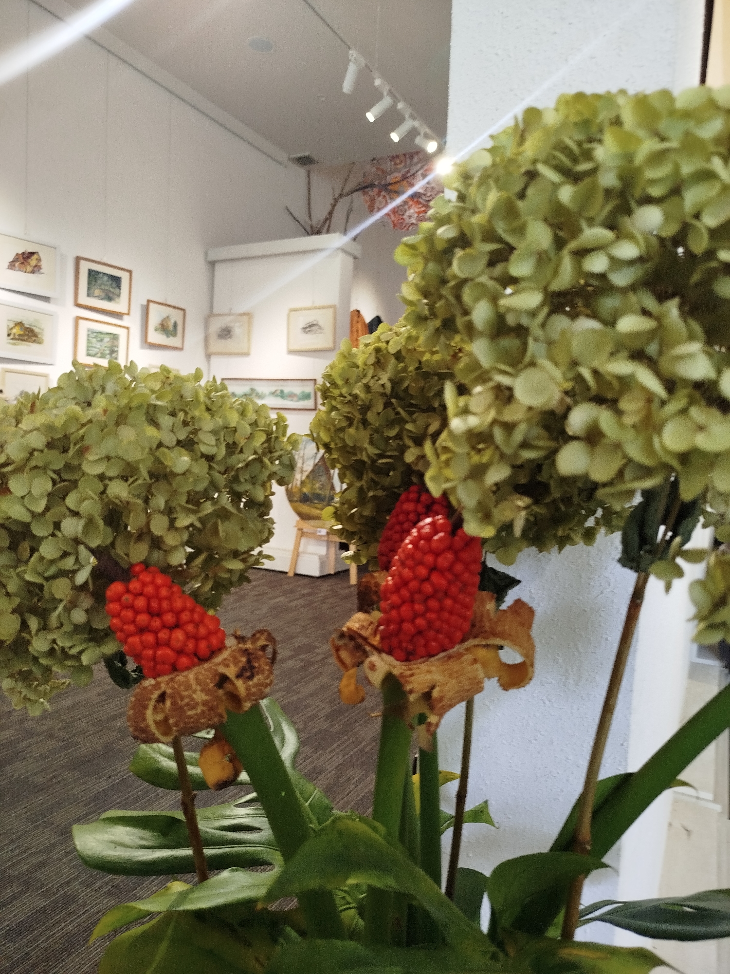 A close-up indoor shot showcases a decorative arrangement of dried hydrangeas and Arisaema fruits in the foreground. The hydrangeas are a pale green, appearing dry and slightly wilted, while the Arisaema fruits are a vibrant, striking red, clustered together on a stalk. Behind the floral arrangement, the scene transitions to an art gallery setting. White walls are adorned with framed artwork, appearing to be watercolors or prints, depicting various landscapes and architectural subjects. The lighting fixtures on the ceiling suggest a well-lit exhibition space. The floor is carpeted in a grey, textured material. In the background, a white column or wall provides a clean, modern contrast to the artwork and botanical elements. The overall ambiance is one of a curated artistic display, likely within a commercial or public space in Lâm Viên - Đà Lạt, Vietnam.