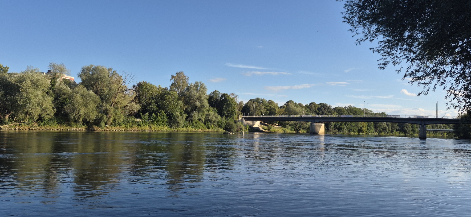 An outdoor, wide-angle shot captures a tranquil scene of a wide river flowing under a bridge. The sun is bright in a clear blue sky, with a few wispy clouds scattered across it. The river's surface is calm, reflecting the surrounding greenery and the blue sky. On the left bank, a lush forest of various trees, predominantly green with some lighter, silvery foliage, lines the river. A red-roofed building is partially visible atop the embankment behind the trees. A modern bridge with a pedestrian walkway stretches across the river, supported by concrete pillars. Traffic, including trucks, is visible on the bridge. The right side of the frame is partially obscured by the dark silhouette of a leafy tree branch, adding a touch of natural framing to the composition. The scene evokes a sense of peace and natural beauty within an urban or semi-urban setting.