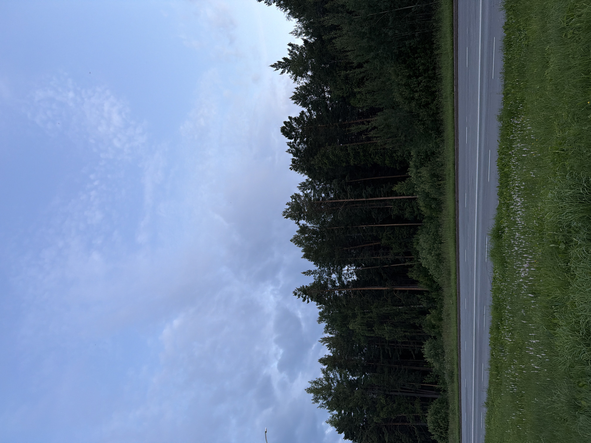 The media file captures a view of a road running alongside a dense forest and a grassy verge. The road is paved and has white lane markings. To the left of the road is a thick line of dark green coniferous trees, suggesting a forest. To the right of the road is a bright green, grassy area with some small white flowers scattered throughout.
The sky above is a mix of light blue with scattered white clouds and some darker, more ominous-looking clouds. This suggests a dynamic weather condition, possibly transitioning from fair to overcast. The lighting indicates it could be late afternoon or early evening, or a day with fluctuating cloud cover. There are no people or vehicles visible in the scene. The overall impression is one of a natural, somewhat remote setting, likely in a rural or semi-rural area. The presence of the paved road with lane markings indicates human infrastructure, but the surrounding landscape is dominated by nature. No text is visible in the image. The scene appears to be captured in Tryokhgorny, Russia, as per the provided location context.