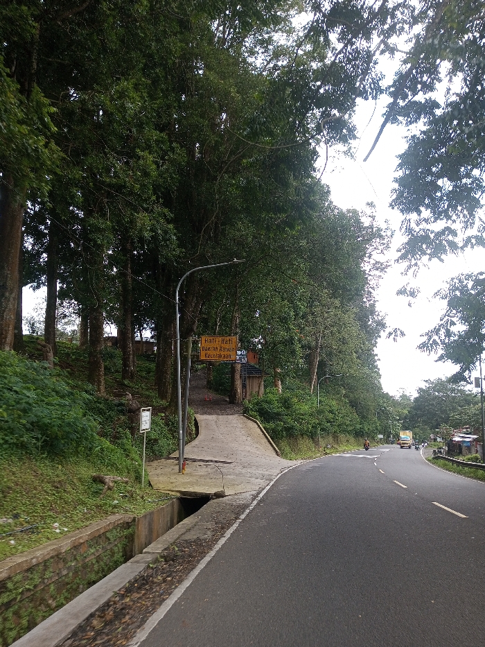 The scene depicts a curved asphalt road in the city of Gubbisamamidi, India, flanked by dense green foliage under an overcast sky. The two-lane road features a solid white line separating the shoulder from the travel lane on the right, and a dashed white line further left, indicating opposing traffic or passing zones. To the immediate left of the road, a concrete drainage ditch runs parallel, with overgrown grass and smaller plants on its bank. Beyond the ditch, a concrete pathway diverges uphill into a thick stand of tall trees with dark trunks and abundant green leaves.
A grey metal streetlight pole stands on the left side of the road, near the entrance to the concrete pathway. Attached to this pole, or situated nearby, is a rectangular yellow sign with black text reading "Hati-hati Daerah Rawon Kecelakaan," which translates from Indonesian as "Caution, Accident Prone Area." Further up the pathway, a small, simple wooden structure with a dark roof is partially visible amidst the trees. In the distance, on the main road, a light-colored truck and at least one motorcycle with a rider are observed moving away from the viewer. The environment is heavily vegetated, giving the impression of a rural or semi-rural area.