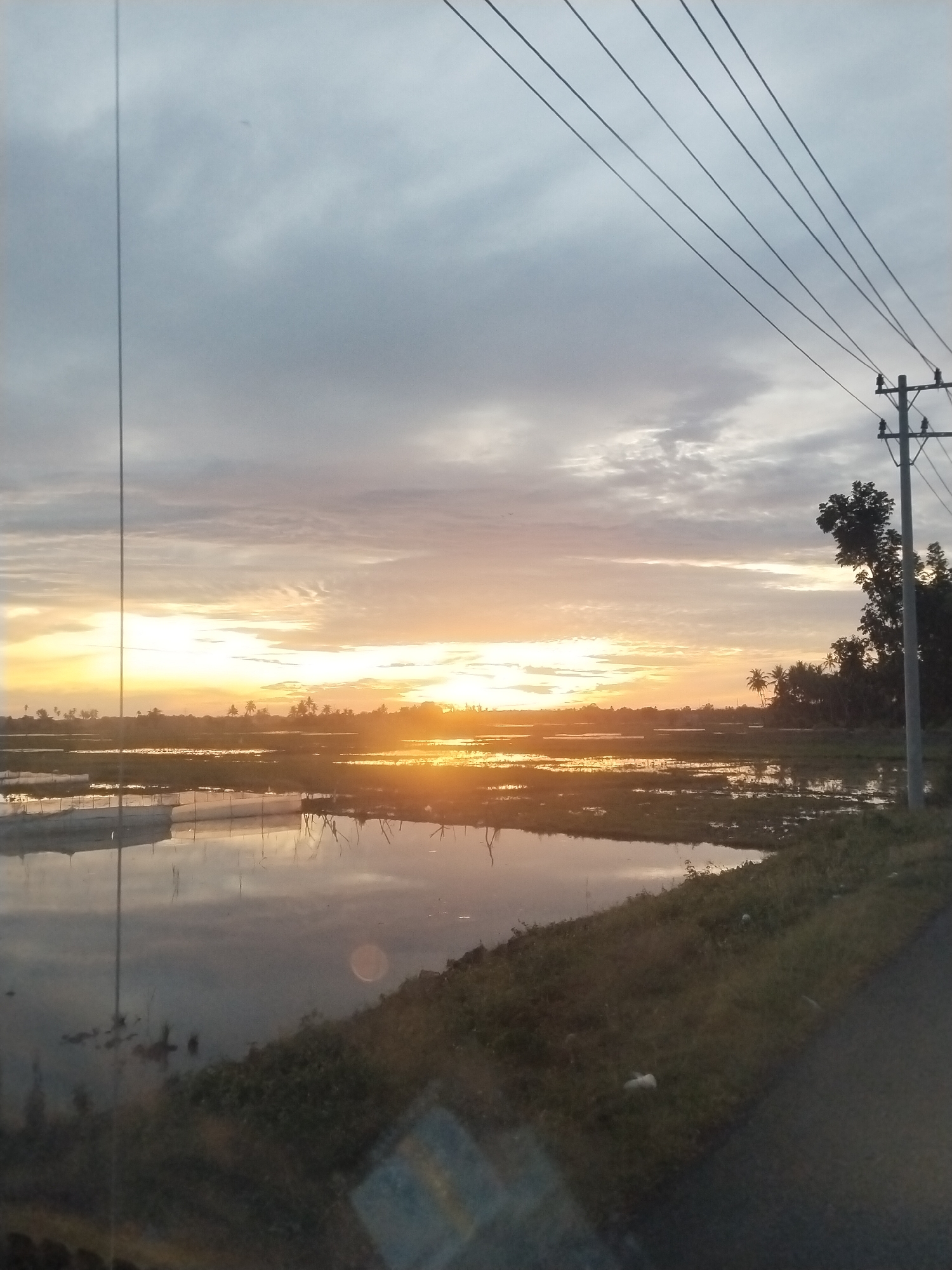 This image captures a wide-angle view of a rural landscape in Kampungjumpa, Indonesia, during either sunrise or sunset. The sun, a bright golden-orange orb, is low on the horizon, casting its light across a vast expanse of reflective water, likely flooded fields or rice paddies. The sky is largely overcast with stratified gray clouds, though a band of orange and yellow hues is visible directly above the sun.
Multiple dark overhead power lines traverse the upper portion of the frame, converging towards a prominent utility pole on the right side. This pole, appearing to be made of concrete or wood, supports insulators and multiple cross-arms. Another single vertical line is present on the far left.
The water-covered foreground and midground strongly reflect the bright sky and sun. Within the water, various elements are discernible: some appear to be submerged structures or nets, while others are bare branches or dead vegetation protruding from the water. A distant treeline, including several distinct palm trees and other dense foliage, extends across the horizon and clusters behind the utility pole on the right.
The immediate foreground on the right features a strip of rough ground covered in sparse green and brown vegetation, bordered by what appears to be a dark asphalt or dirt road at the bottom right. A distinct circular lens flare or internal reflection is visible on the water surface towards the bottom right, and a rectangular reflection is present below it, suggesting the photograph was taken through a pane of glass. No people or animals are visible in the scene.
