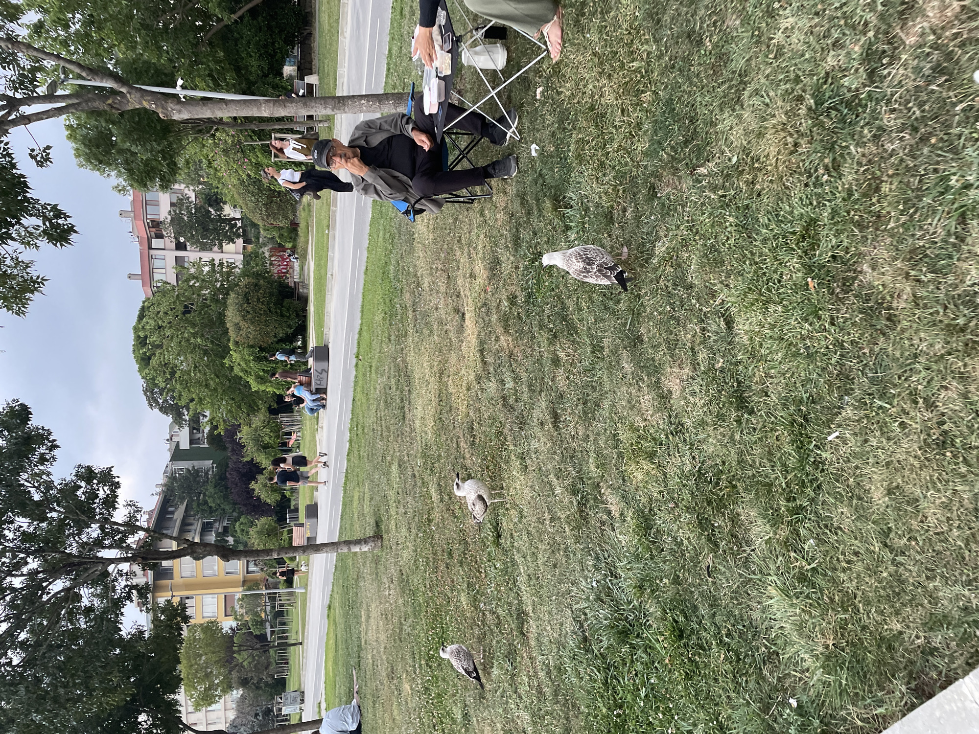 This image depicts a park scene in Kadıköy, Turkey, on an overcast day. In the foreground, three seagulls are present on the grass. To the right, a man in a dark jacket, black shirt, and black pants is seated in a blue camping chair at a small folding table. He is wearing a baseball cap and appears to be eating or contemplating something on the table. A person, whose legs and feet are visible, sits opposite him at the table, with their hands on the table. The table holds containers of food and a white thermos. In the middle ground, a paved path runs horizontally across the image, with several people walking and sitting. Buildings and trees line the background.