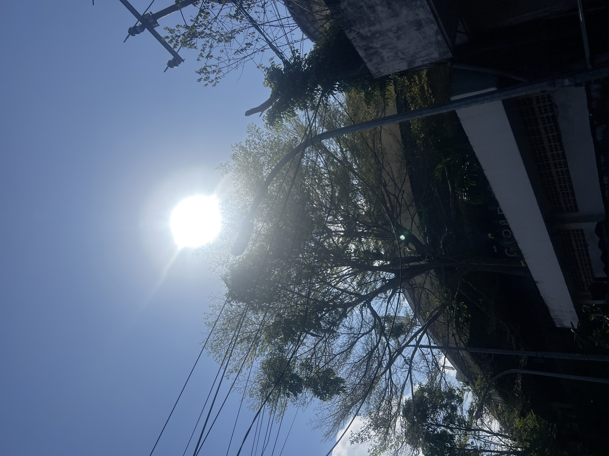 The image captures a bright, sunny day in Kuta, Indonesia, with the sun prominently positioned in the upper center of the frame, casting a strong glare. The scene is dominated by a large tree with sparse foliage and intricate branches, silhouetted against the clear blue sky. Several power lines crisscross the image, some taut and others sagging, typical of urban environments. On the right side of the frame, a utility pole with insulators is visible, along with a concrete wall and part of a building. The lower portion of the image reveals more of the building's facade, featuring a patterned brickwork section and a white ledge. The overall impression is one of a slightly overgrown urban landscape bathed in intense sunlight.