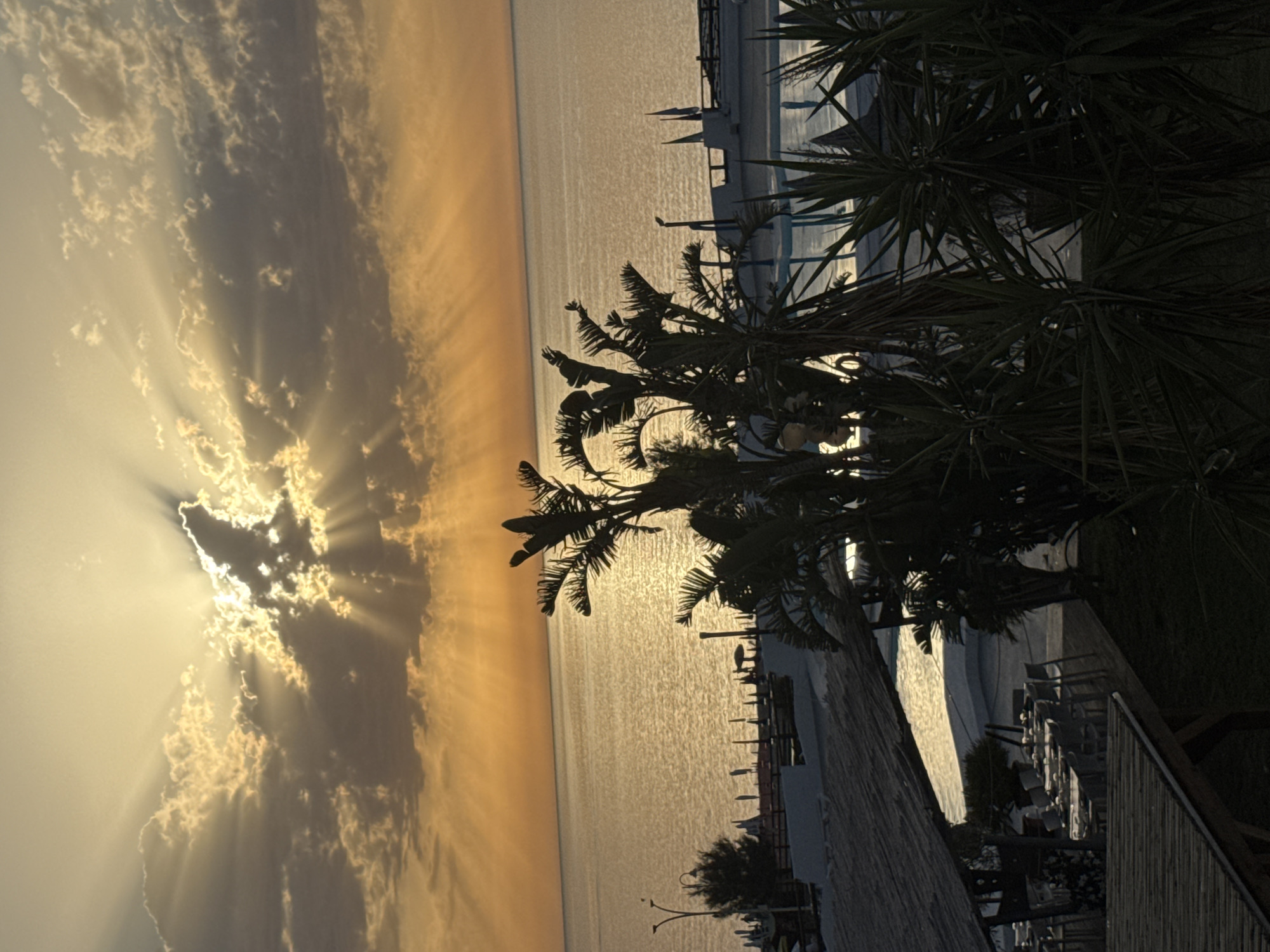 A dramatic sunset casts golden rays through clouds over the sea in Capaci, Italy. The foreground is dominated by dark silhouettes of palm trees and tropical plants. Beyond the foliage, a resort area is visible, with a swimming pool and lounge chairs, as well as outdoor dining tables covered by thatched roofs. The sea is calm and reflects the warm hues of the sky.