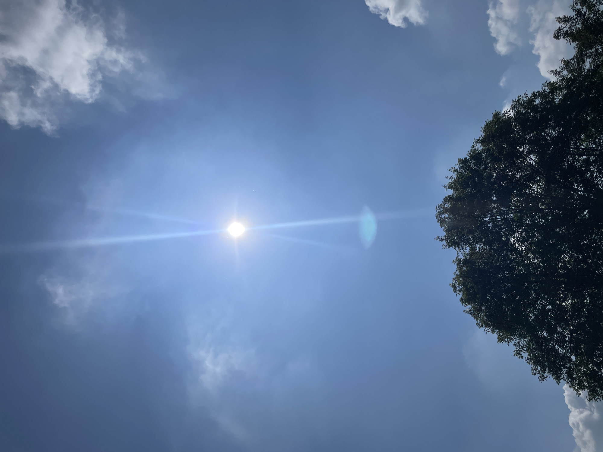 The image presents a bright, clear blue sky on a sunny day, viewed from a low angle looking upwards. The sun is a brilliant white orb, positioned slightly to the left of the frame's center, emanating a strong lens flare that creates a prominent horizontal light streak across the image. A distinct greenish-blue circular lens flare artifact is also visible to the right of the main sunburst.
Scattered white, fluffy clouds are visible in the upper left and upper right portions of the sky. The dark green canopy of a tree occupies the right side of the frame, providing a natural border and contrasting with the luminous sky. The leaves of the tree are silhouetted against the bright background. The scene suggests mid-day lighting conditions due to the intensity and position of the sun. There are no human subjects, discernible activities, or visible text in the image.