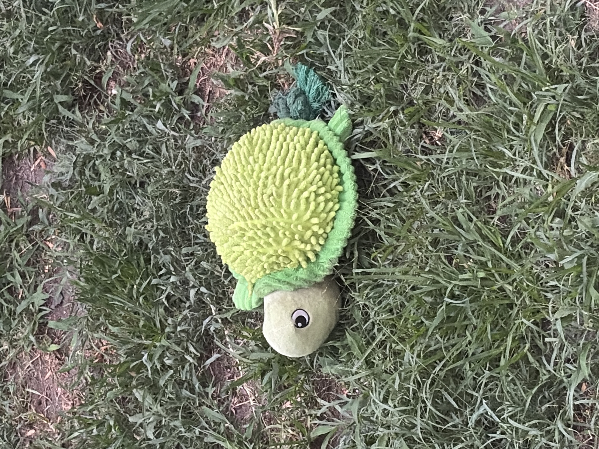 A green toy turtle lies on grass. The toy has a green head with a single eye visible, and a scrub-brush texture for the shell. The scene is located outdoors.