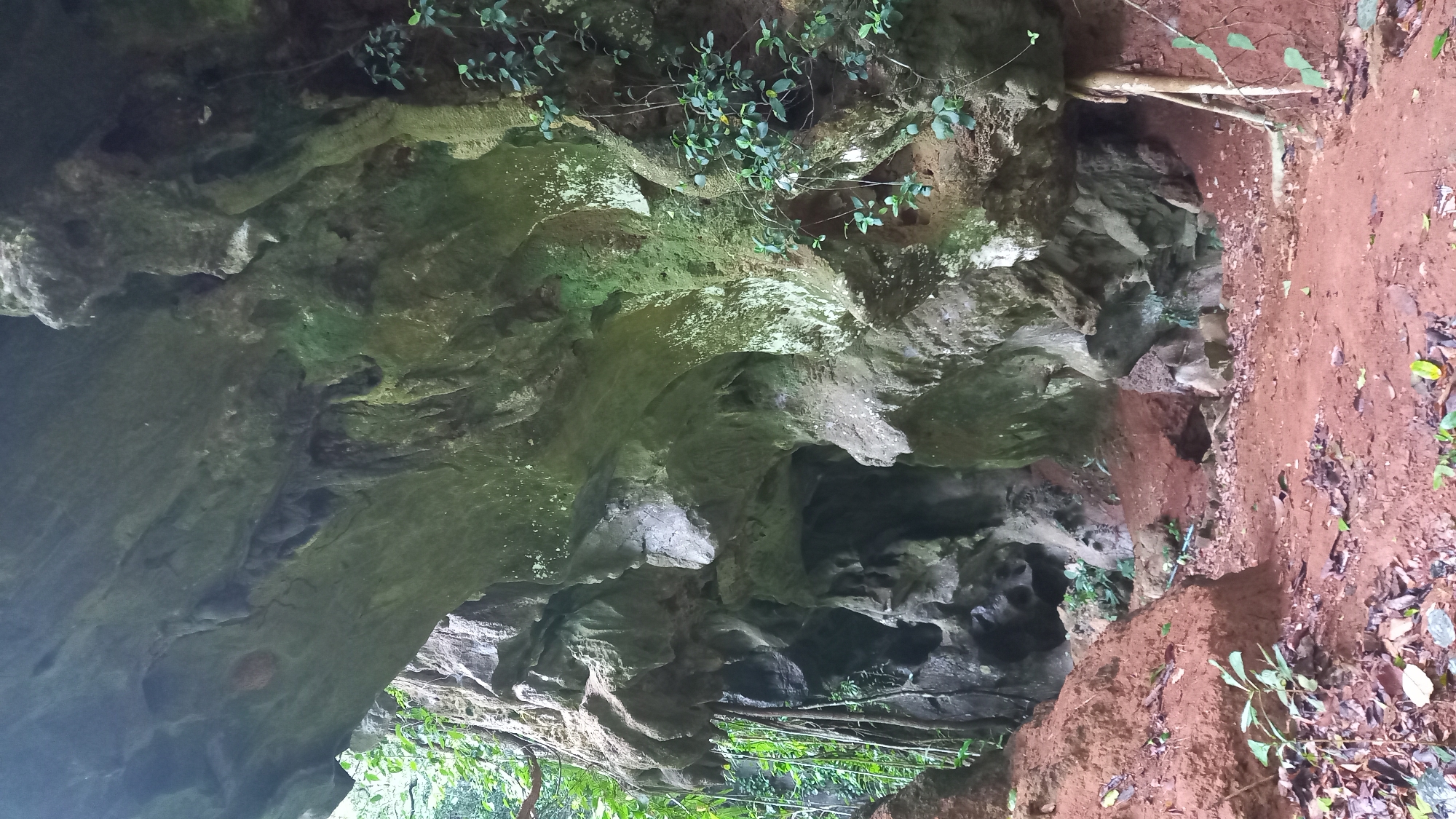 The image depicts a cave entrance near Ban Pak Ra, Thailand. The cave's opening is bordered by weathered rock formations, some covered with green vegetation. Outside the entrance, there is red soil with scattered leaves and small plants. A root protrudes from the right side of the cave entrance. The lighting is dim inside the cave, while the exterior is brighter.