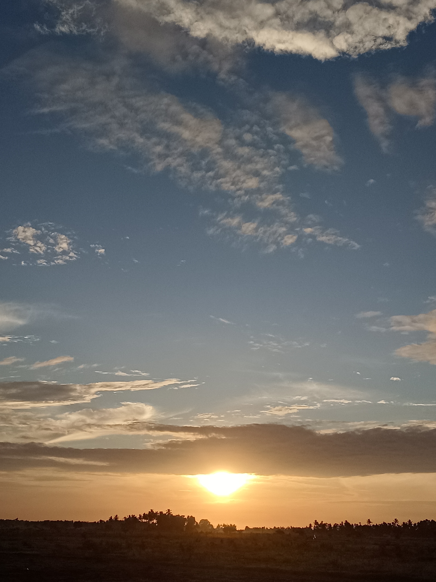 A vertical, wide shot captures a golden sunset over a silhouetted treeline in Meunasah Raya, Indonesia. The sky is a gradient of deep blue to pale orange, dotted with scattered white and grey clouds. The sun, a bright, blinding yellow, is positioned low on the horizon, casting an orange glow across the scene. The foreground is a dark silhouette of a flat landscape, densely populated with trees, including palm trees, indicating an agricultural or tropical environment. There are no people or distinct objects visible in the image, only the natural elements of the sky and landscape.