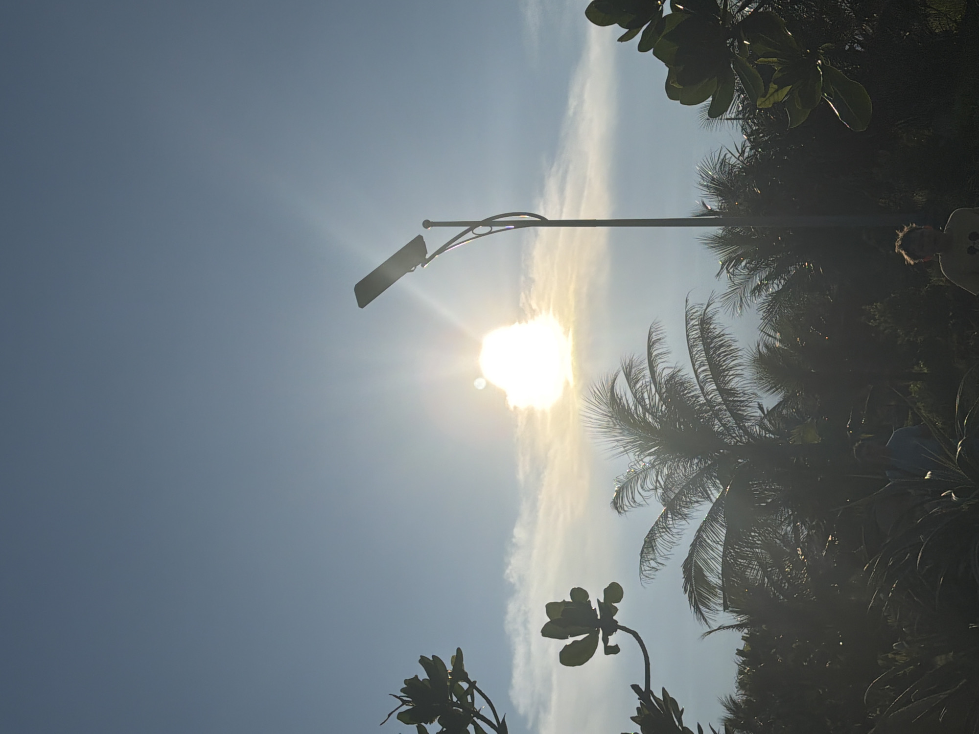 The image depicts a street light against a bright sky in Bac Cam Ranh Ward, Vietnam. The sun is visible and is causing lens flare. Silhouettes of palm trees and other vegetation are present in the foreground, with two individuals partially visible among the foliage. The scene suggests an outdoor environment, possibly a park or roadside, with the sun indicating daylight hours.