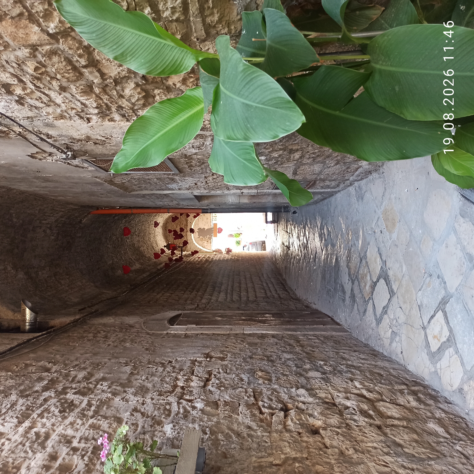 The image captures a narrow, stone-paved alleyway in Ruvo di Puglia, Italy, likely a pedestrian passage between buildings. The walls are constructed of rough, textured stone blocks. Red heart-shaped decorations are suspended from the arched ceiling of the alleyway, suggesting a festive or romantic theme. Sunlight streams in from the end of the alley, illuminating the wet stone pavement and creating reflections. A car is visible in the distance at the bright exit of the alley. Large, green tropical-looking leaves of a plant are prominent in the foreground on the right side of the image, partially obscuring the stone wall. A small potted plant with pink flowers is visible on the left side of the alley. The overall impression is of a charming, old-world European street with a touch of romantic decoration. A date stamp of "19.08.2026 11:46" is overlaid on the lower right corner of the image.