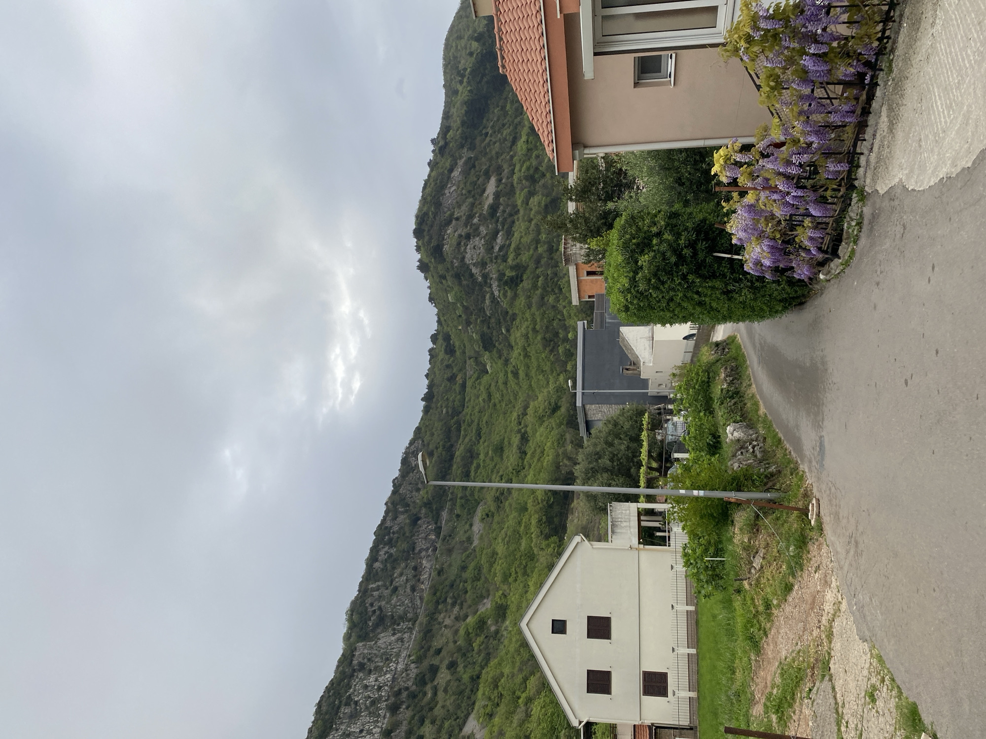 The image shows a street scene in Budva, Montenegro, taken on a cloudy day. A road runs diagonally from the bottom right to the upper right of the frame. The road surface is wet, suggesting recent rain. On the right, wisteria in full bloom cascades over a wall. Buildings of varying heights and architectural styles line the right side of the road.
On the left, a steep, green, mountainous terrain rises. The mountain is covered in dense vegetation with rocky outcrops visible. A tall, thin light pole stands in front of a white, two-story house with brown shutters. The sky is overcast with visible cloud formations.