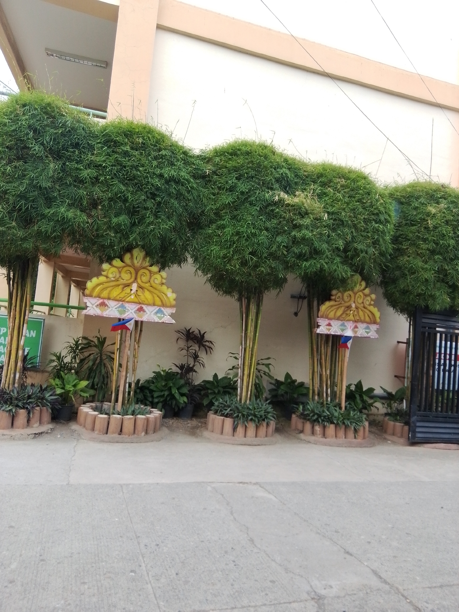 In front of a building with a beige-colored facade and a tan overhang, a row of neatly trimmed bamboo trees are planted in circular, brick-lined planters. Each planter contains lush green foliage. Attached to the bamboo stalks in the middle of the row are decorative, golden, crown-like ornaments with intricate scrollwork. Beneath these ornaments, a small Philippine flag is attached. The ground in front of the planters is a paved pathway. To the right, a black metal gate is visible. A green sign with white text is partially visible on the left side of the image. The overall scene depicts an outdoor space, possibly a school or public building entrance, in Davao City, Philippines, adorned for a festive occasion.
