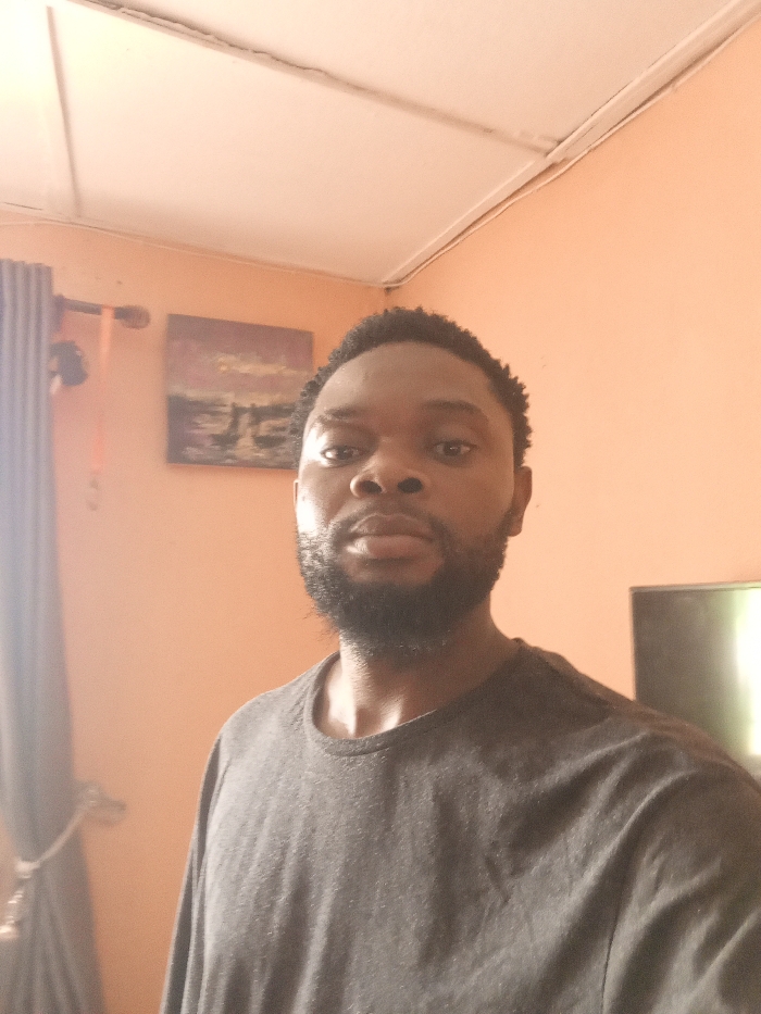 The image displays an adult male in an indoor residential setting in Magboro, Nigeria. The male, of dark complexion, has short dark hair and a full dark beard and mustache. He is wearing a plain dark grey crew-neck t-shirt and looks directly into the camera with a neutral expression. The room's walls are painted a light peach or salmon color. To the left, dark grey curtains are visible, held back by a decorative tie with a tassel. Above the curtains, a framed piece of artwork depicting a muted landscape or seascape is mounted on the wall. The white ceiling exhibits visible seams and minor linear cracking. To the right of the male, a dark flat-screen television is partially visible in the background. No specific actions or interactions are occurring other than the subject's direct gaze.