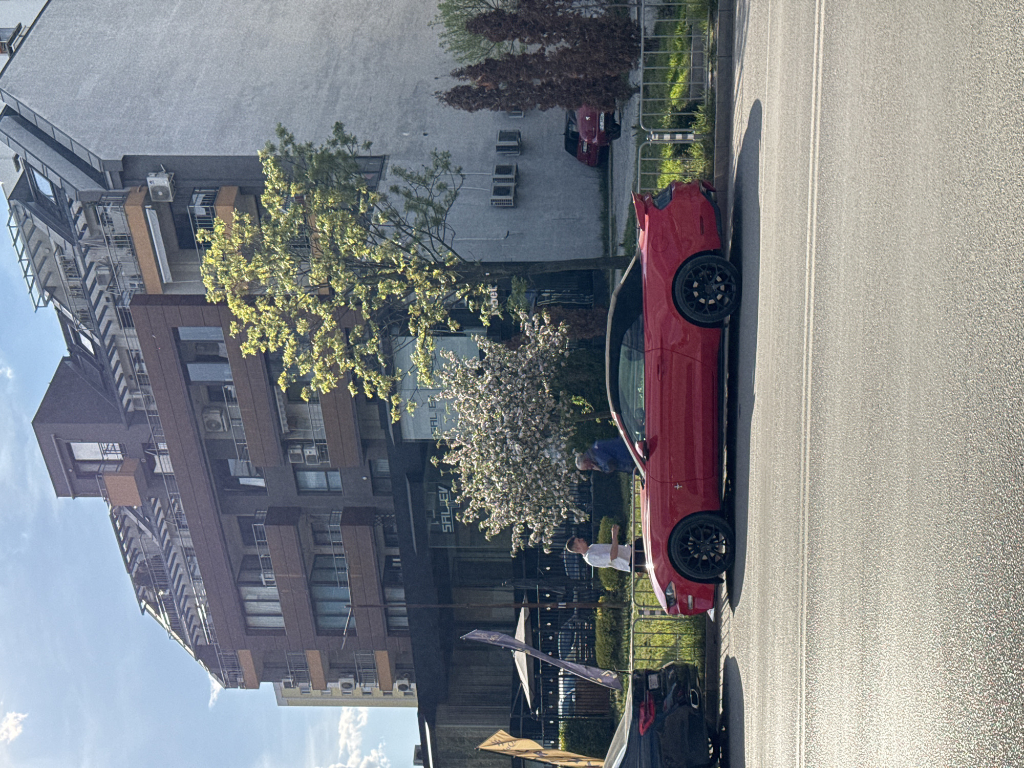 The image depicts an urban street scene in Sofia, Bulgaria, likely during late afternoon or early morning due to the long shadows cast by objects. The weather appears fair with a clear to partly cloudy sky.
The main subject is a vibrant red sports car, possibly a Ford Mustang, parked on the side of an asphalt road with double white lines. It features distinct black multi-spoke rims. Two individuals are near the red car: one person in a white t-shirt stands casually next to it, while another person in a blue shirt leans into the car's interior, possibly engaging in conversation or examining the vehicle. Part of another dark-colored car is visible in the lower foreground. Further down the street, a smaller red car is parked in the background.
The street is lined by multi-story buildings, featuring a mix of modern and older architecture. One prominent building has a dark brown facade with numerous windows and balconies, while another appears to be light grey or white, adorned with multiple external air conditioning units. Several trees with fresh green foliage are visible, along with a flowering tree with white blossoms, indicating spring or early summer.
Other elements include a metal fence separating the street from a grassy area, and two flags or banners near the sidewalk, one purple and one yellow. On a building sign, the partial text "SALEV" is visible. The scene captures a casual moment on a city street, possibly an interaction centered around the distinctive red car.