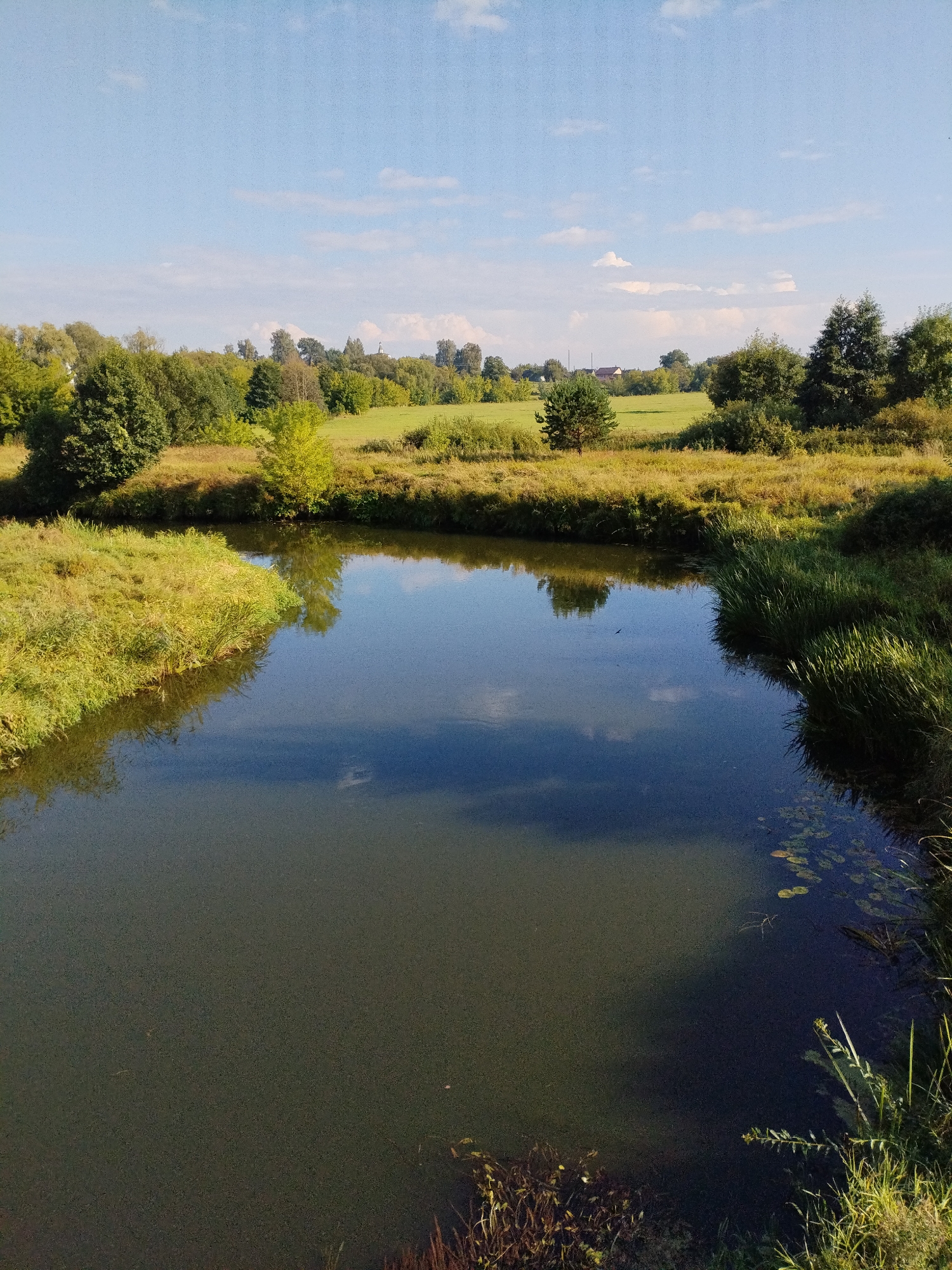 The image depicts a serene natural landscape near the city of Bialynichy, Belarus. A calm, dark body of water dominates the foreground, reflecting the clear blue sky with scattered white clouds and surrounding greenery. The banks of the water body are lined with lush green grass and reeds, with some areas showing yellowed, dry vegetation. In the mid-ground, a gently sloping field of green grass stretches towards a line of trees forming the horizon. Beyond the field, several buildings with red roofs are visible, suggesting a rural settlement. The overall scene is one of tranquility and natural beauty under a bright, sunny sky. There are no people or animals visible in the image, and no discernible objects or activities that would indicate human presence beyond the distant buildings.