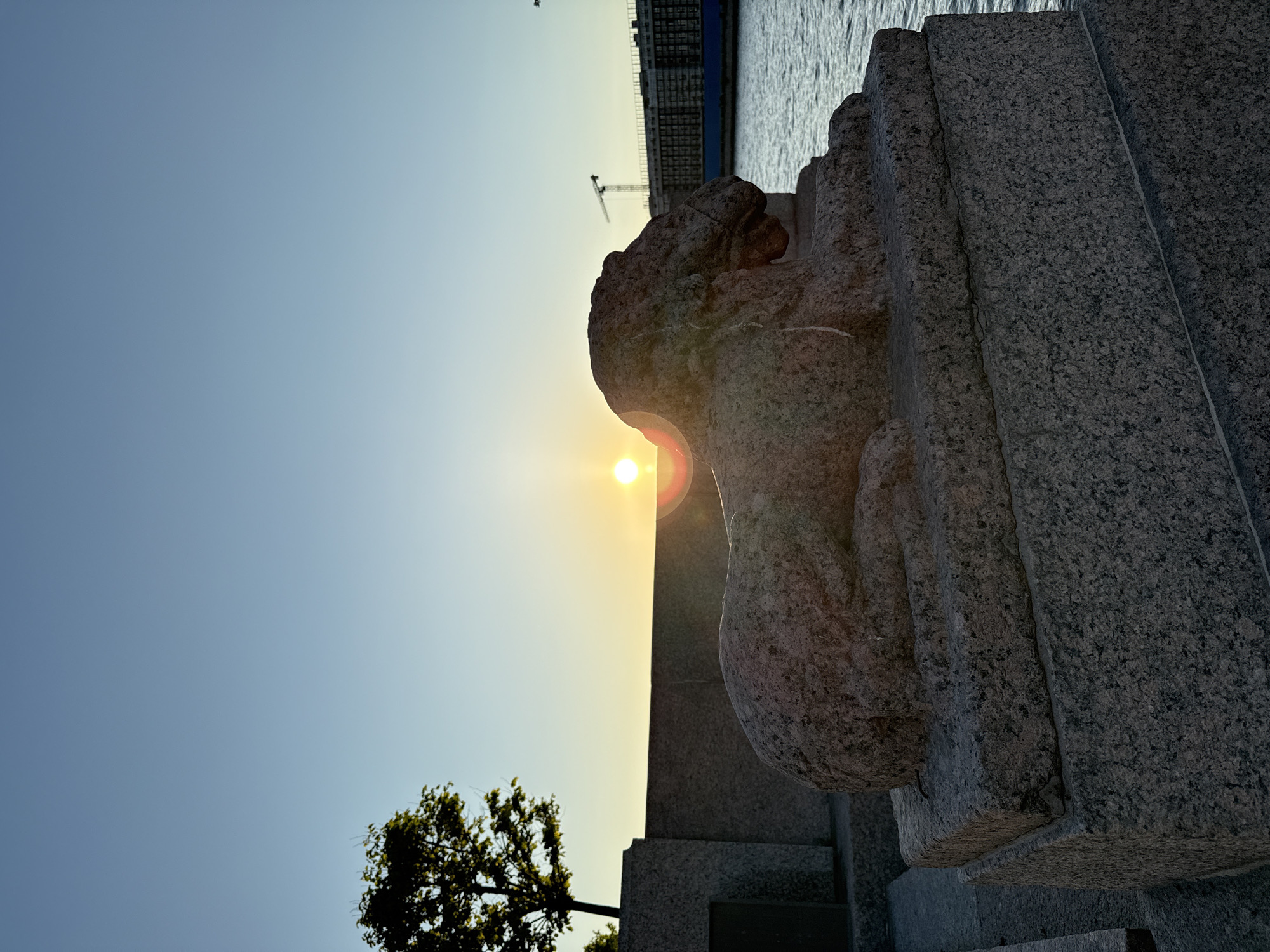 The image displays a granite statue of a recumbent lion-like creature, resembling a sphinx, situated on an embankment. The statue, facing right, is constructed from coarse-grained, rough-textured grey-pink granite and rests on a multi-tiered granite pedestal. The sun, a bright golden orb, is positioned behind the statue's head, causing the statue to appear as a silhouette and creating a prominent lens flare. The sky transitions from a warm orange-yellow at the horizon to a clear, pale blue overhead. To the left, a portion of a dark-leaved tree is visible behind a granite retaining wall. To the right of the statue, a body of water with subtle ripples extends towards the background. Across the water, a large, multi-story building with numerous windows is visible, partially silhouetted. Behind and to the right of this building, two construction cranes are discernible against the skyline. The immediate foreground features the granite pedestal and additional granite paving. No human figures are present in the scene. This setting is characteristic of the University Embankment along the Neva River in Saint Petersburg, Russia, where ancient Egyptian sphinxes are a prominent feature.