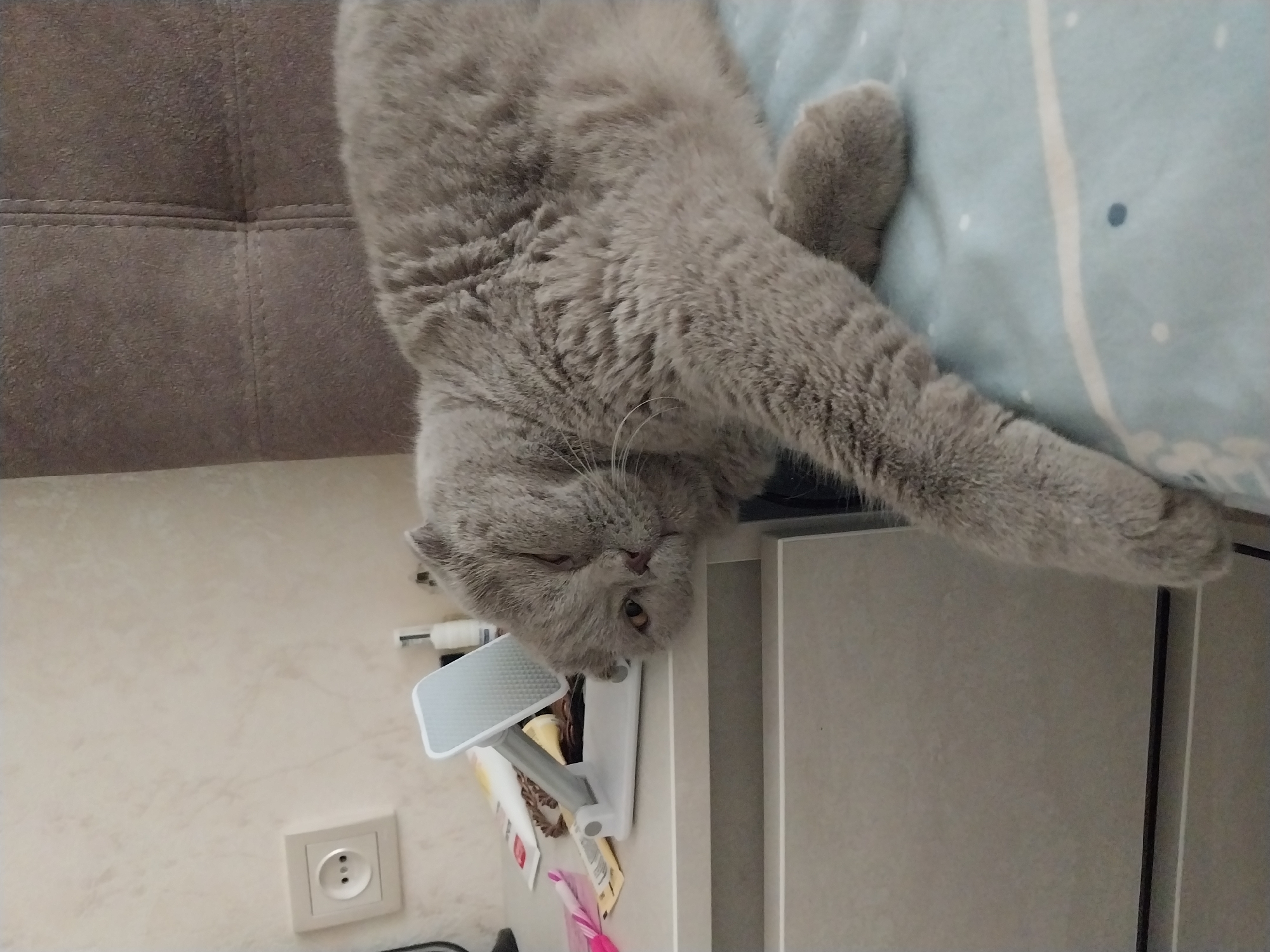 A fluffy grey cat is lounging on a light blue patterned blanket, with its head resting on a white bedside table. The cat's eyes are partially closed, suggesting it is relaxed or sleepy. On the bedside table, there is a white phone stand, a pink object that appears to be a pen, and other unidentifiable items. Behind the cat and to the left, a white electrical outlet is visible on a textured wall. A portion of a brown upholstered headboard is visible in the background on the right. The scene appears to be indoors, likely in a bedroom, and there are no individuals present. The image does not provide any information to determine its location in the city of Dnipro, Ukraine.