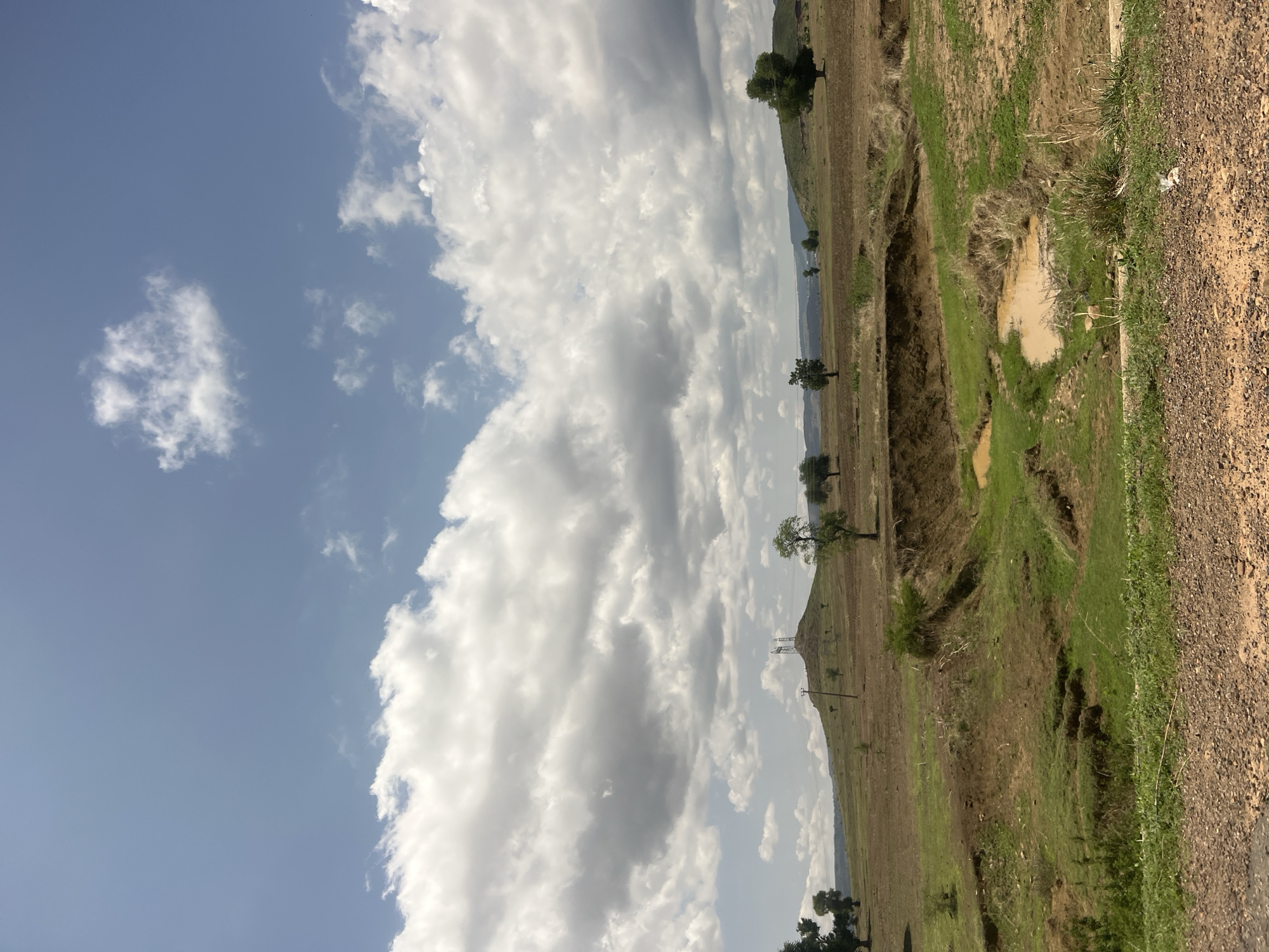 This image depicts an outdoor, rural landscape in Chum, Nigeria, under a sky exhibiting both clear blue patches and extensive white to grey cumulus cloud cover. The terrain is characterized by large expanses of brown and reddish-brown earth, indicative of dry fields or tilled land, interspersed with numerous individual green trees and patches of green grass. In the midground, a distinct hill rises, surmounted by a large metal structure resembling a transmission tower or communication mast, with associated power lines or poles visible on its slopes. The foreground reveals significant land erosion, forming deep gullies of exposed earth. Within these depressions, two puddles of muddy, yellowish-brown water are visible, surrounded by vibrant green grass and some drier vegetation. The immediate bottom of the frame shows a rough, gravelly dirt path. No individuals or animals are present, and no discernible actions are occurring. A small piece of white debris lies on the gravel path in the lower right.