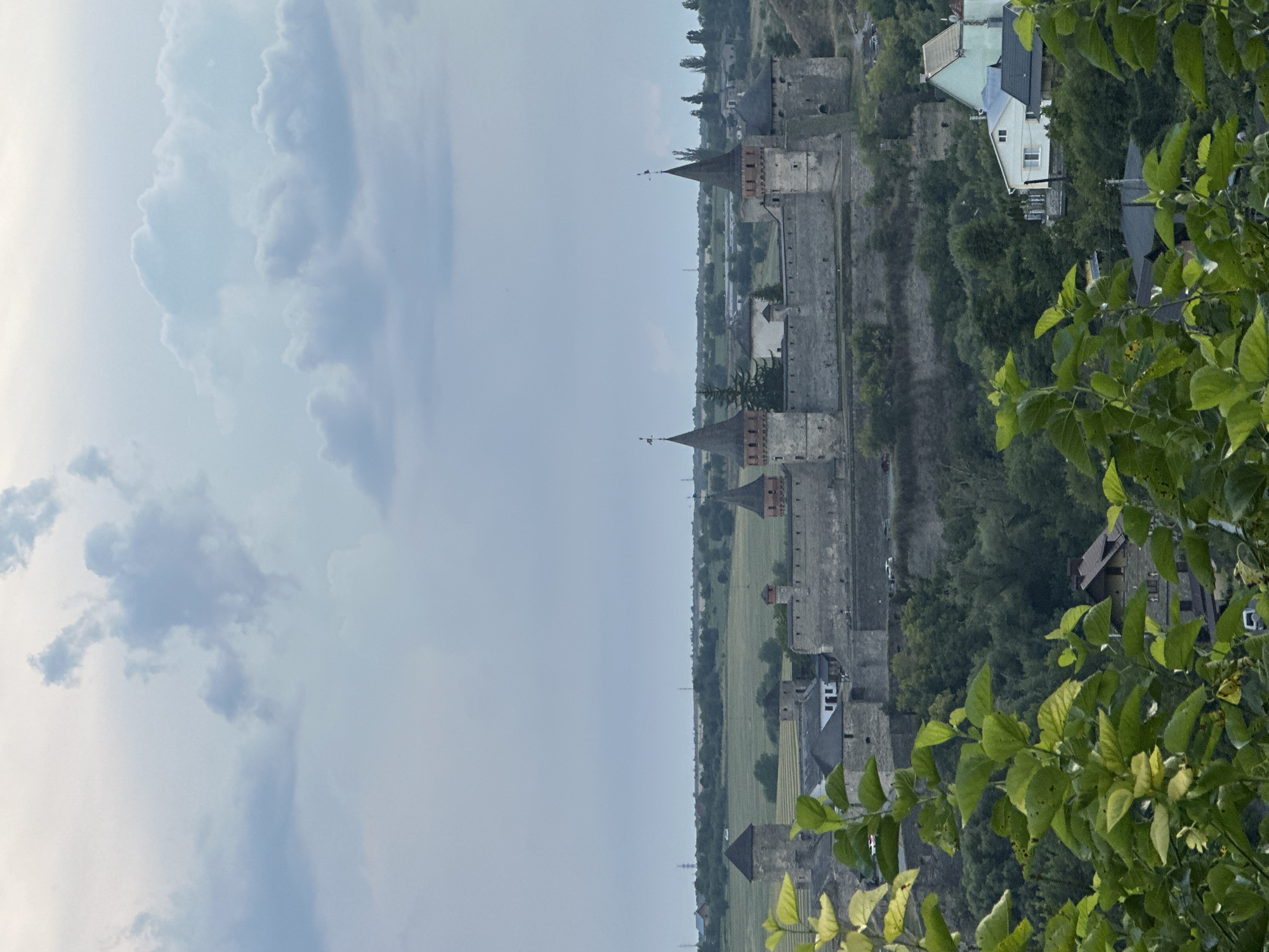 The image depicts a panoramic view of the Kamianets-Podilskyi Castle, a historic fortress located in Kamianets-Podilskyi, Ukraine. The castle, constructed from stone, is prominently situated on a hilltop, surrounded by lush green vegetation and trees. Several towers with conical roofs rise from the castle walls, and a smaller tower is visible on the left side of the structure. In the foreground, out-of-focus green leaves frame the scene, suggesting the viewpoint is from a higher elevation. Beyond the castle, a rural landscape unfolds with green fields, scattered trees, and distant power lines. A few houses and buildings are visible in the middle ground and to the right of the castle, integrated into the hillside. The sky is overcast with soft, diffused clouds, indicating a possibly late afternoon or early evening setting. There are no visible people in the image. The overall impression is one of historical grandeur and a serene natural setting.