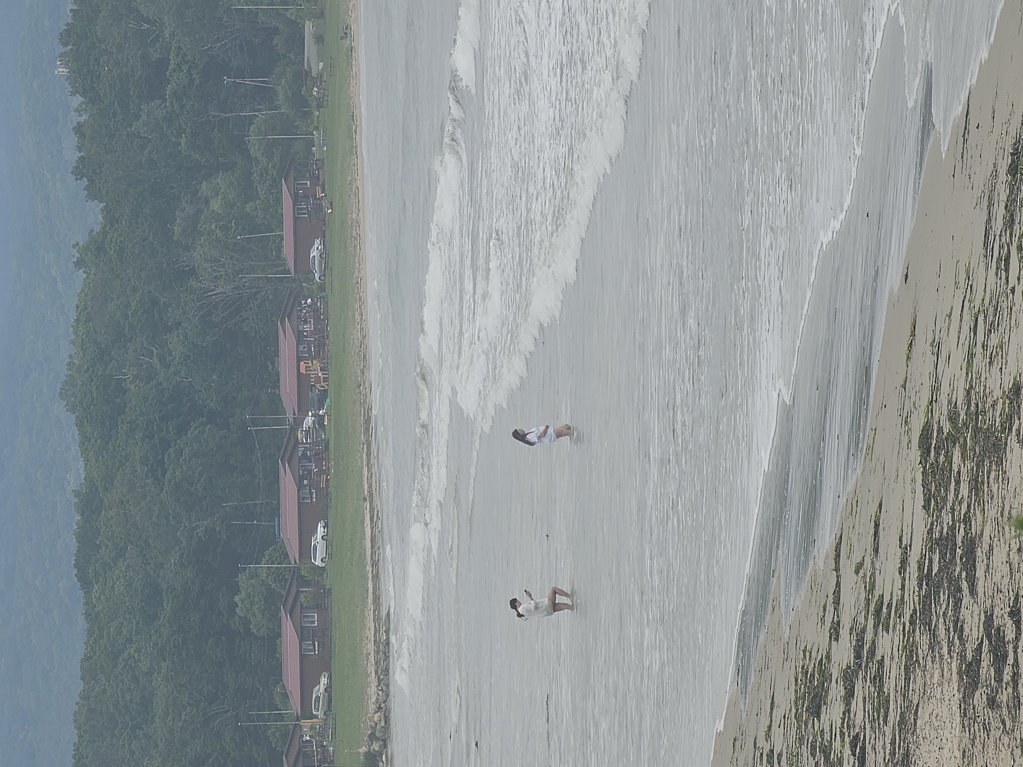 The image depicts a beach scene in Fokino, Russia, under an overcast sky. Two individuals, appearing to be women, are wading in the shallow water of the sea. One woman, on the left, is wearing a white shirt and dark shorts, and is holding a mobile phone. The other woman, on the right, is wearing a white top and appears to be wearing shorts as well. They are standing a short distance apart. The beach itself is sandy with patches of seaweed. In the background, a line of small wooden cabins with red roofs is visible, situated on a grassy area. Beyond the cabins, a dense forest covers a hillside, with a hazy mountain range further in the distance. Several cars are parked near the cabins. The sea has moderate waves with white foam.