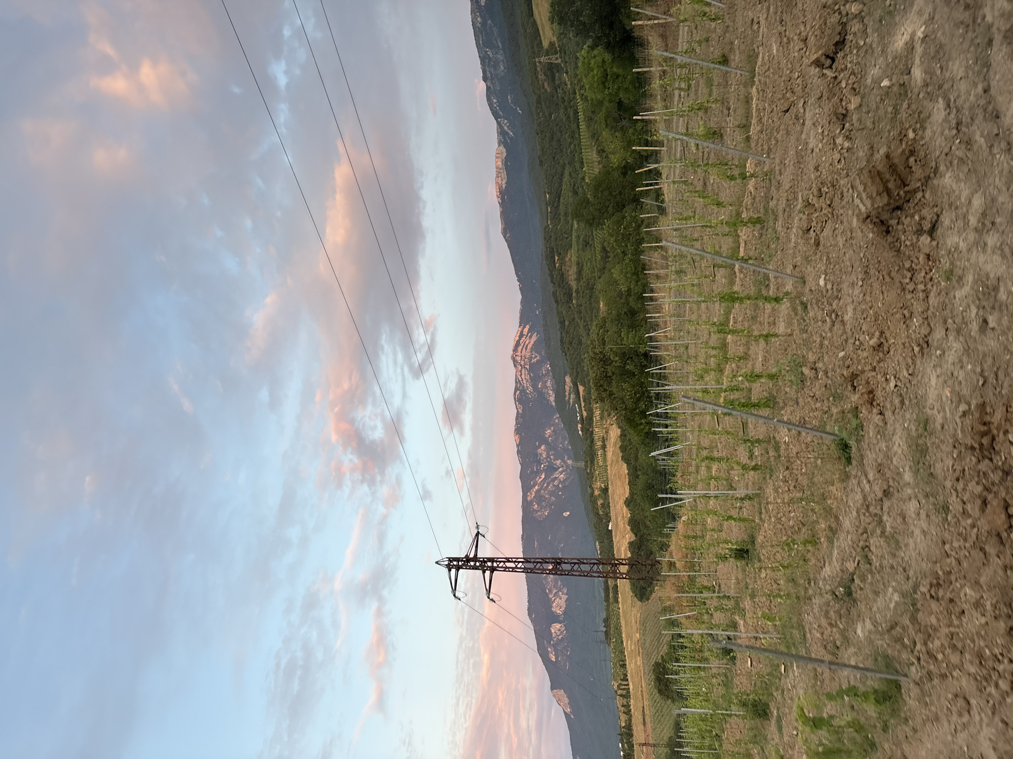 The image shows a vineyard in the foreground with young grapevines supported by stakes. In the mid-ground, there are rolling hills covered in trees and more vineyards. A large power pylon stands prominently on the left side of the frame. In the background, a mountain range rises, with the peaks catching the soft, warm light of a sunset. The sky is a blend of pale blue and hues of pink and orange from the clouds. The overall scene depicts a rural landscape during golden hour, likely in the city of Lavrovoe, Ukraine, known for its agricultural areas. There are no people or animals visible in the image.