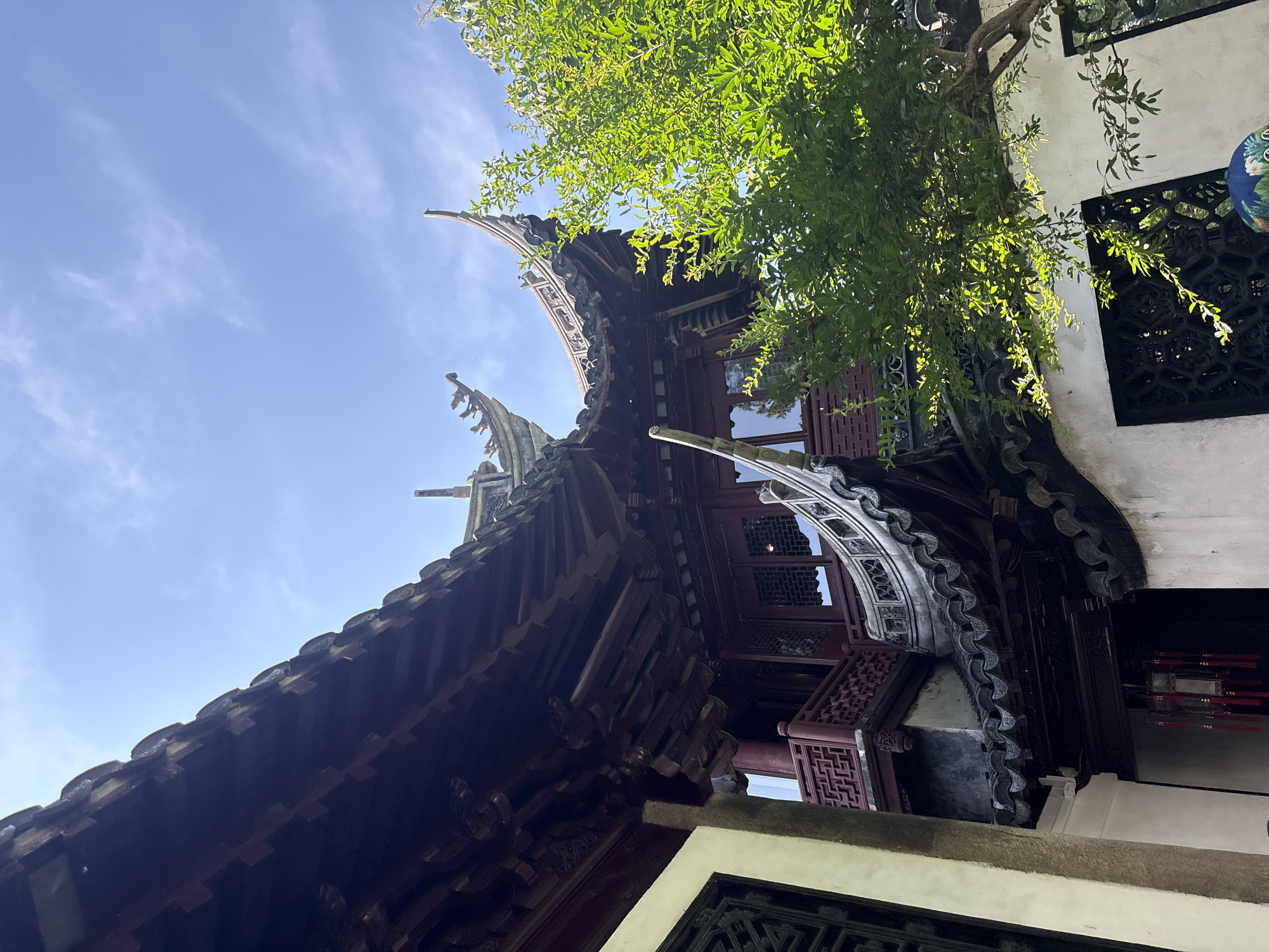 The image shows a low-angle view of traditional Chinese architecture, likely part of a garden or temple complex, under a bright blue sky with scattered white clouds. The architecture features multiple curved, tiled roofs with ornate eaves and decorative elements. A lush green tree with sunlight filtering through its leaves is prominently positioned in the foreground, partially obscuring the building. The building itself is constructed with dark wood and white walls, featuring intricate latticework windows and a balcony with decorative railings. A red lantern with tassels hangs from an overhang. The scene suggests a tranquil and aesthetically rich environment. Based on the architectural style, this location is very likely the Yu Garden (Yuyuan Garden) in Shanghai, China, a historic garden dating back to the Ming Dynasty. There are no people visible in the image.
