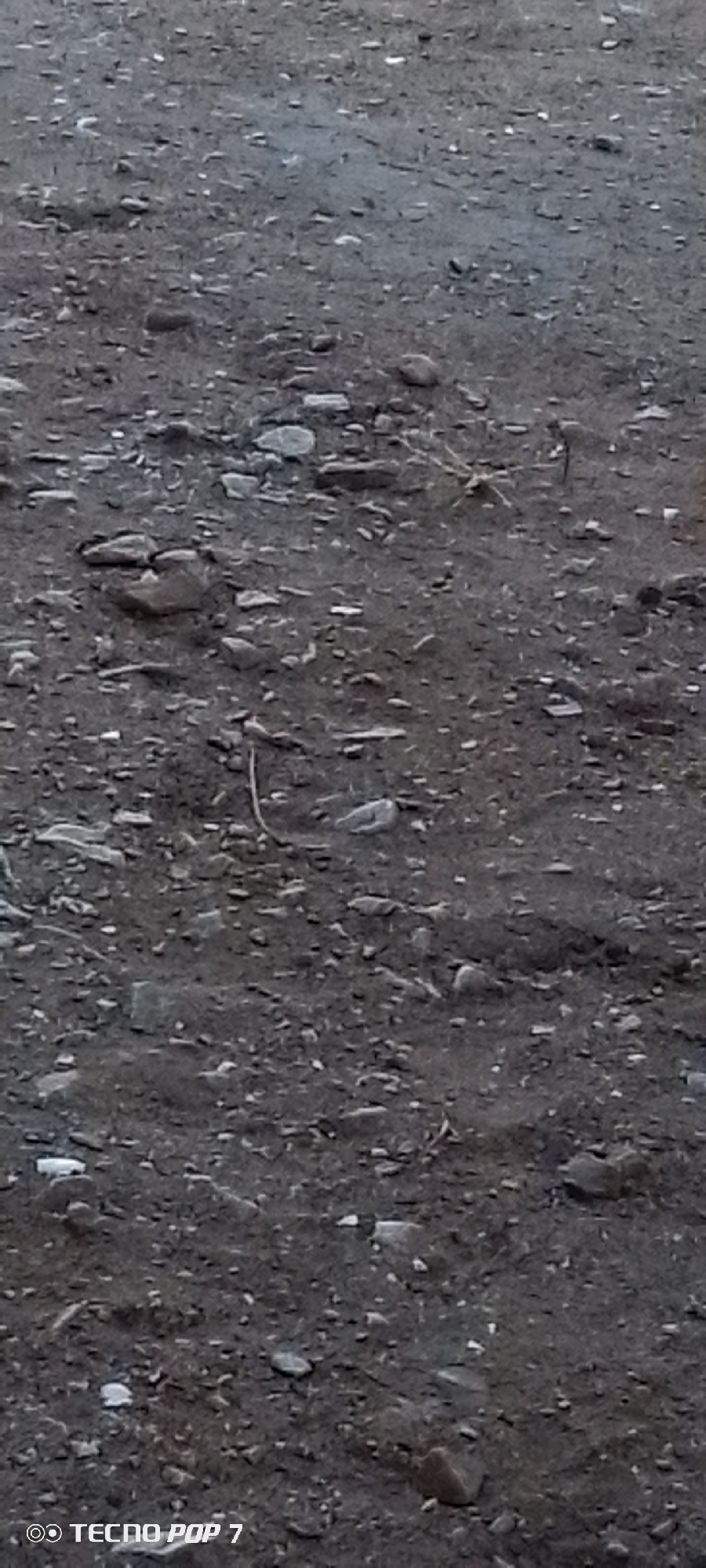 The image shows a close-up view of a dirt and gravel ground surface. Small pebbles and rocky fragments are scattered across the surface, interspersed with dark soil. The setting is outdoors, with no people or discernible landmarks. The presence of small rocks and soil suggests an area with some level of erosion or disturbance. The photo was taken with a Tecno Pop 7 smartphone, but the exact location within Altagracia, Venezuela, cannot be determined from the image alone. There are no actions or interactions captured in this static image.
