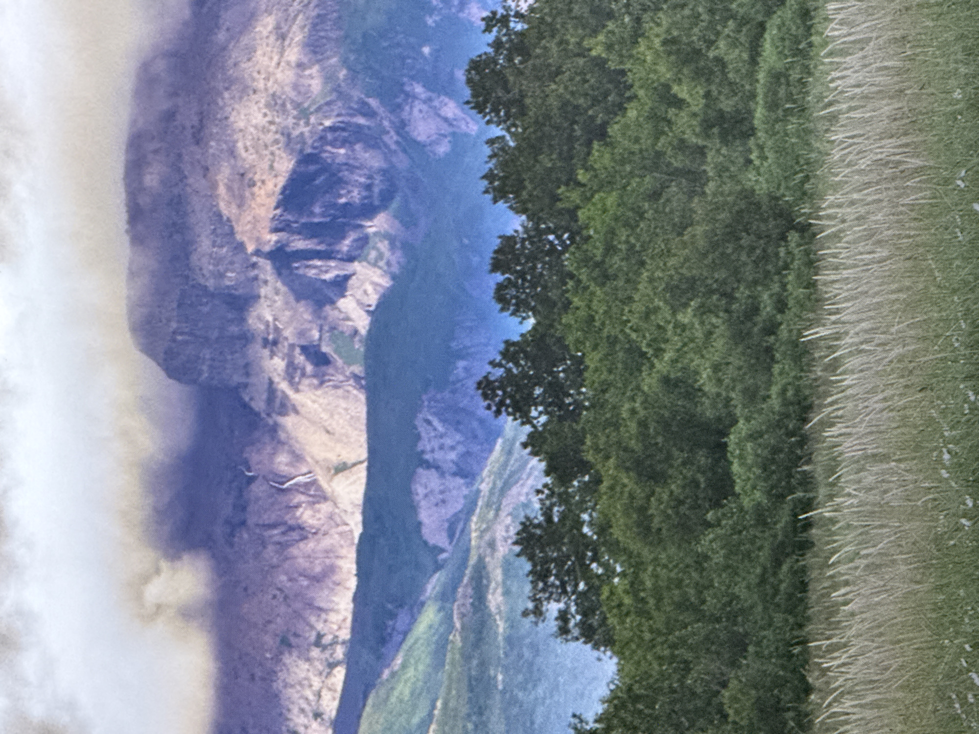 The image shows a natural landscape featuring a large mountain range in the background, partially obscured by clouds. In the mid-ground, there are rolling hills covered in lush green trees. The foreground is dominated by a field of tall, dry grass with some scattered white flowers. The scene is a panoramic view, suggesting a wide-open natural setting. There are no people or man-made structures visible in the image. The lighting suggests it may be late afternoon or early morning, with soft light illuminating the mountains. The geographical location in Saratov, Russia, is not evident from the visual information provided in the image itself.