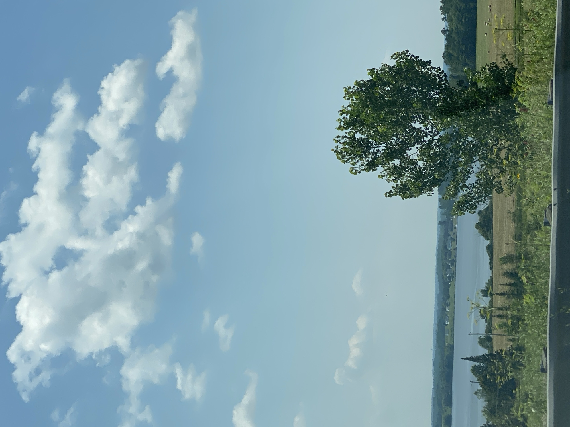 This is a photograph taken from a slightly elevated vantage point, looking out over a landscape. The sky is a clear, bright blue, with scattered white, puffy clouds. In the foreground, there is a dark, blurry barrier, likely a railing or ledge, suggesting the photo was taken from a vehicle or elevated platform.
Dominating the mid-ground is a large, deciduous tree with dense green foliage, positioned to the right of the frame. Behind the tree, a body of water, likely a lake or large river, stretches across the width of the image. The far shore of the water is lined with trees and dotted with a few buildings, indicating a rural or semi-rural settlement. In the fields on the far side of the water, several small, round hay bales are visible.
The area appears to be a scenic rural landscape, possibly near the city of Pointe-au-Chêne, Canada, given the description. The overall impression is one of a pleasant, sunny day in a natural setting. There are no people or animals clearly visible in the image. The perspective suggests the photographer is observing the scene from a distance.