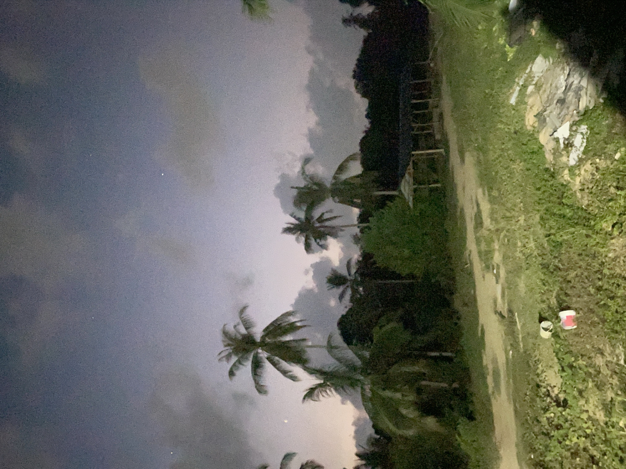 The image captures a low-light outdoor scene, likely during twilight or night, with a prominent cloudy sky. The sky, occupying the upper and left sections, is filled with dark, textured clouds in shades of blue and gray, suggesting an overcast atmosphere. A few faint, bright points are scattered across the cloudy expanse.
Numerous palm trees are silhouetted against the dim sky, their distinct fronds visible, indicating a tropical setting. To the right of the palm trees, dense, dark foliage forms a natural boundary. The lower right portion of the image shows a patch of grassy ground with a dirt path or track. On this grass, two containers are visible: one light-colored bucket or can, and another with a red lid. Further in the background, a pile of light-colored debris or materials is present amidst the dark vegetation. There are also faint hints of wooden structures or fencing within the dense foliage.
No human activity or individuals are present, and the scene appears still. The overall mood is quiet and somewhat mysterious due to the dim lighting and heavy clouds. There is no visible text in the image.