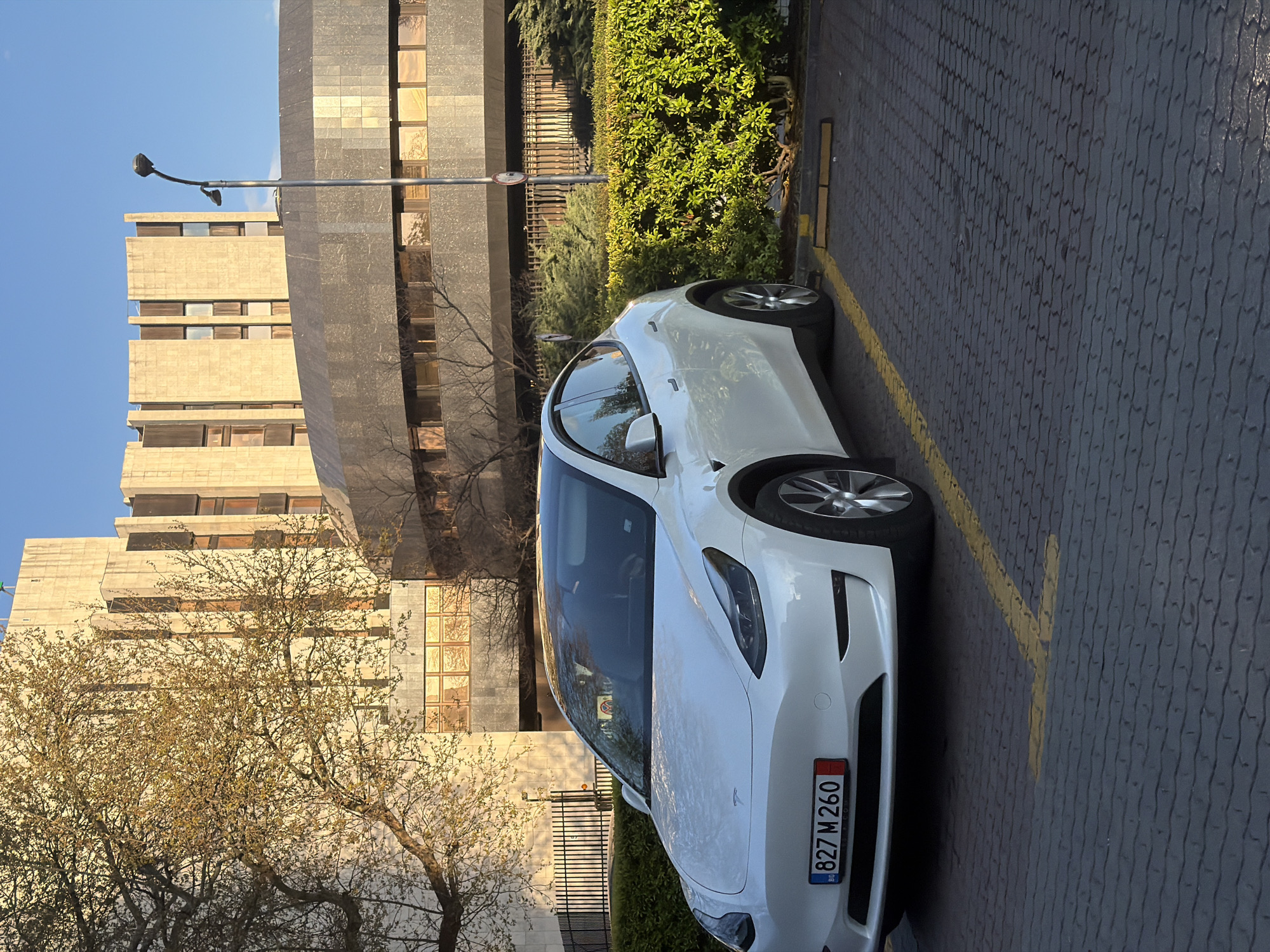 A white Tesla Model Y, with a Bulgarian license plate reading "ВТ 827 М 260," is parked on a paved surface with yellow parking lines. The background includes a large, multi-story concrete building with horizontal rows of windows. There is greenery including bushes and a tree with budding leaves next to the car and in front of the building. A light pole is visible next to the building. Based on the architectural style and license plate, it could be inferred that the image was taken in Varna, Bulgaria.