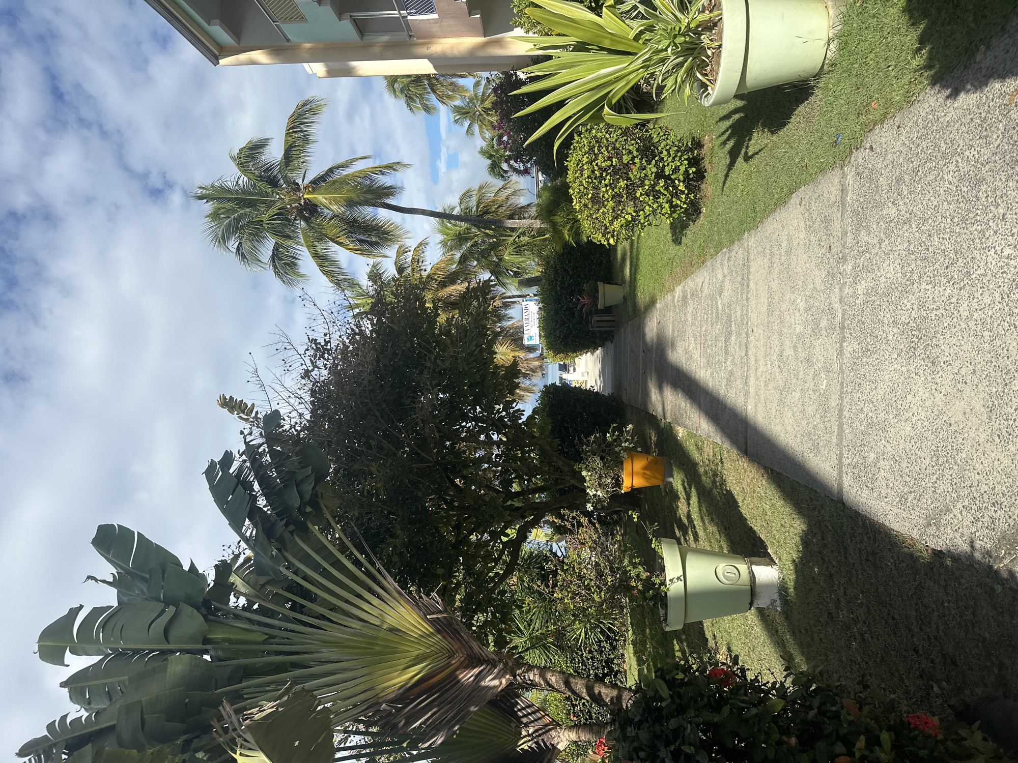 The image depicts a pathway in Le Gosier, France, surrounded by tropical vegetation. A concrete walkway stretches from the bottom right of the frame towards the center horizon, leading the eye towards a glimpse of the ocean and sky between the trees. Lush green grass borders the pathway on either side, punctuated by various plants, bushes, and trees including a traveler's palm on the lower left, and palm trees in the distance. Several potted plants and utility boxes in shades of green and yellow are positioned along the path's edge. The sky above is partly cloudy. A building's architectural details are visible in the upper left corner.