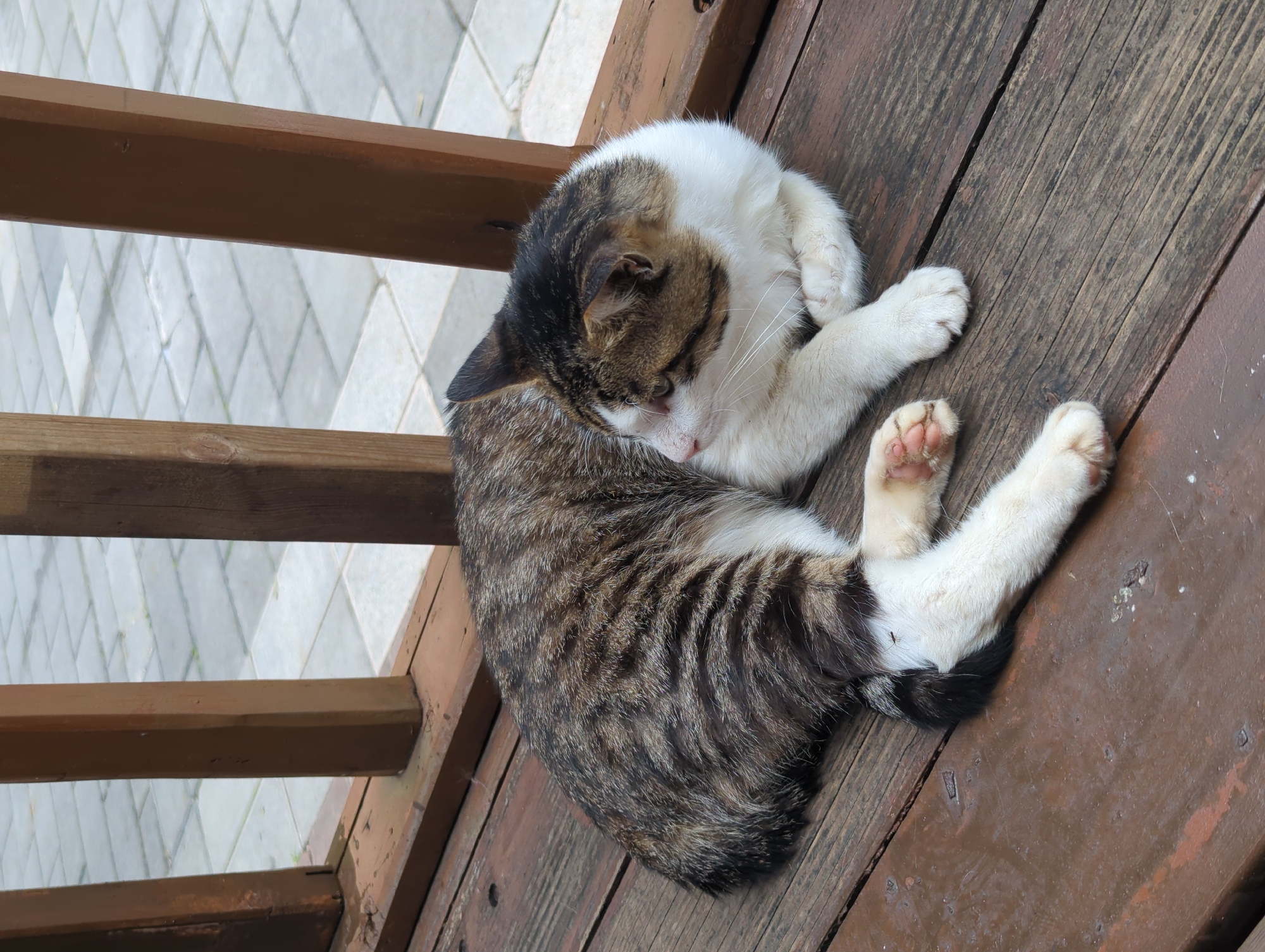 A domestic cat with brown, black, and white tabby markings is lying on a weathered wooden deck. The cat is curled on its side, facing left, with its paws tucked in. The background consists of a paved area with light-colored square tiles, visible through a wooden railing. The scene appears to be outdoors, possibly on a porch or balcony, in Xishan District, China. There are no people visible in the image.