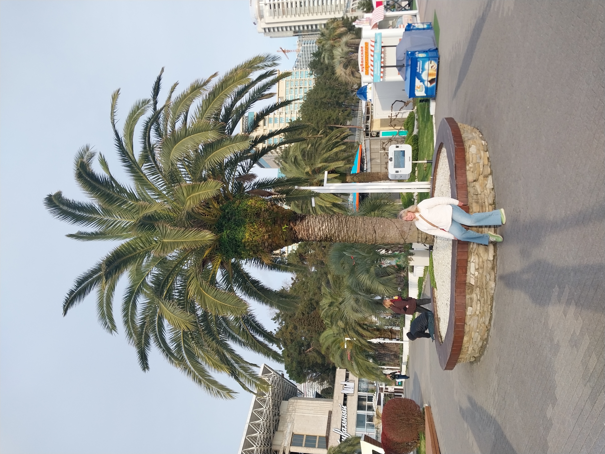 The image captures a public space in Sochi, Russia, featuring a large palm tree as the primary focal point. A woman in a white jacket and blue jeans is sitting on a curved, brick-edged planter at the base of the palm tree. Behind the planter, two other people can be observed. The background reveals a cityscape with buildings of varying heights and architectural styles, indicative of an urban environment. Further back, food stalls and recreational kiosks are located, suggesting this area serves as a public promenade or park. The paved ground and clear sky imply it's a day scene.