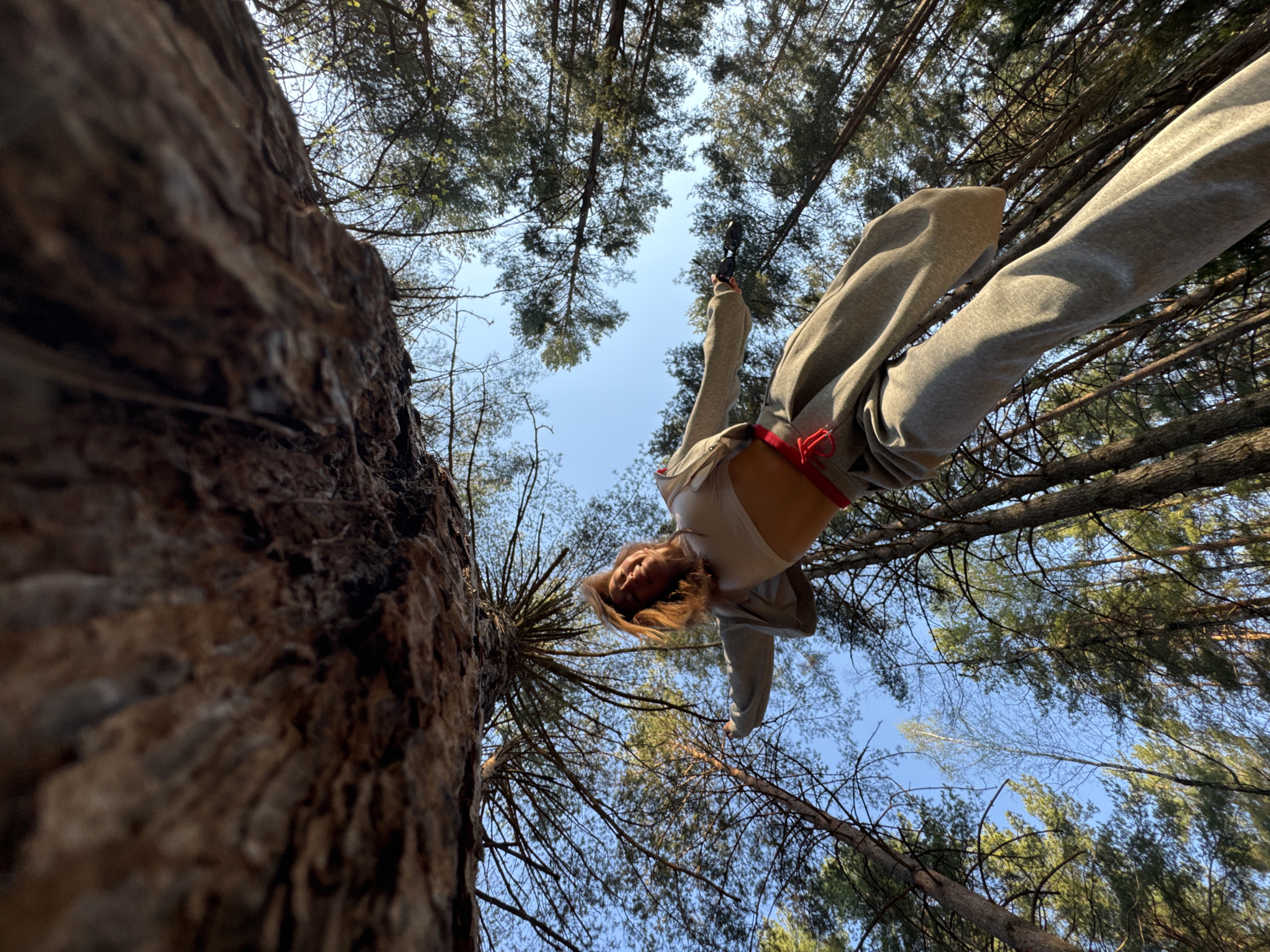 A woman is seen from a low angle perspective, with the camera pointed upwards towards the sky. The woman is wearing a light-colored top and grey sweatpants with a red drawstring. She is holding something in her right hand. Her body is oriented diagonally across the frame, with her head towards the lower center. She has short, brown hair. A large tree trunk is prominent in the lower left corner, heavily textured with bark. Above and around the woman are numerous tall trees with green foliage, their branches extending across the frame. The sky is visible between the branches, appearing as a light blue backdrop. The image suggests a forest or wooded area. While it is mentioned this is in Прикамский, Russia, there is no additional information to confirm this from the provided image.