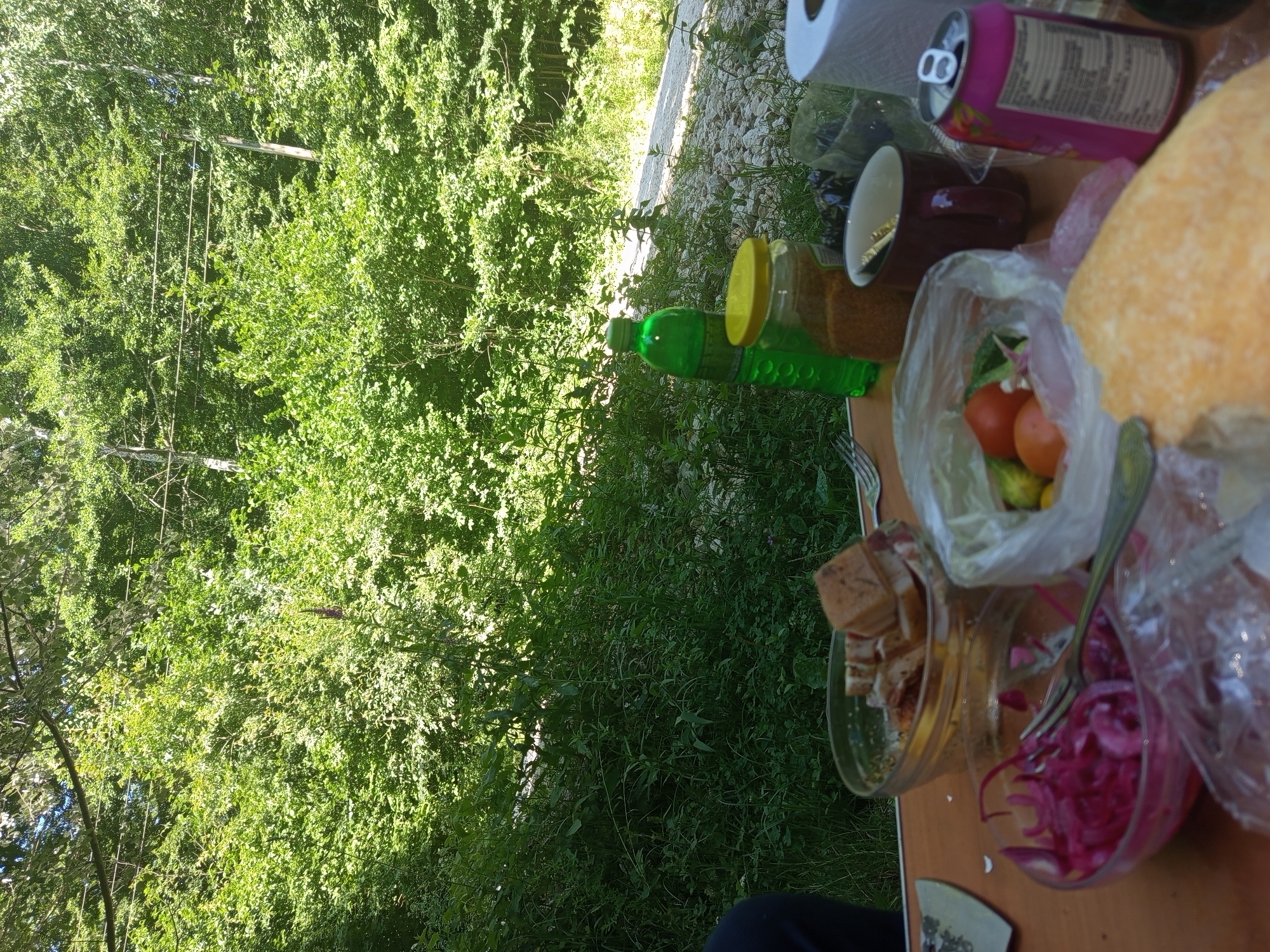 A picnic is underway in a wooded area, possibly near Giaginskaya, Russia, with a table laden with food and drinks. In the foreground, a wooden table displays various items. A clear bowl holds sliced red onions, and another bowl contains chunks of bread and possibly meat. A plastic bag holds tomatoes and cucumbers. To the right, a pink soda can sits next to a brown mug and a jar filled with a granular substance. A green plastic bottle and a roll of paper towels are also on the table. In the background, dense green foliage creates a natural backdrop. A pathway, possibly gravel, is visible behind the table.