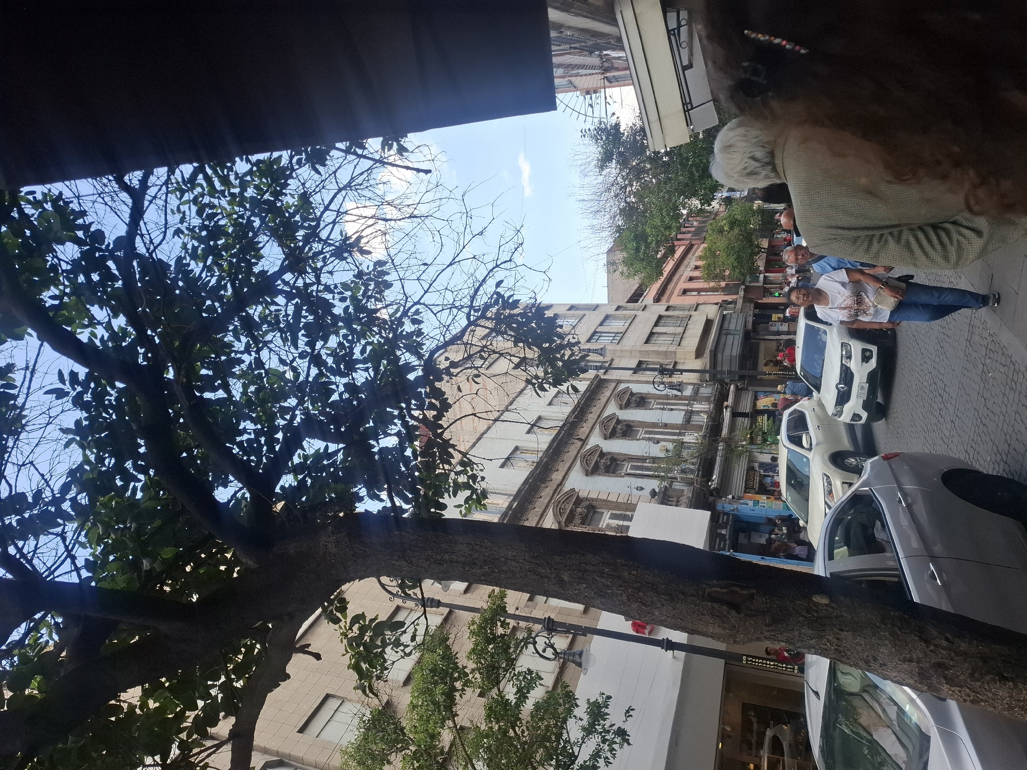 This image shows a street scene in Mexico City, Mexico. A large tree with green leaves dominates the left side of the frame, partially obscuring the view of the buildings across the street. The buildings are a mix of architectural styles. Cars are parked along the right side of the street. People are walking on the sidewalk to the right. An older woman with grey hair is visible on the sidewalk, along with a group of people behind her. The sky is visible through the tree branches, with some patches of blue sky.