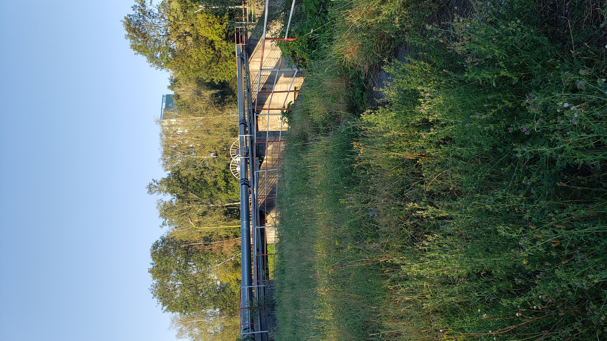 The image depicts an outdoor scene with a clear blue sky. In the foreground, tall green grass and wildflowers grow, creating a natural, untamed environment. Behind the vegetation, a concrete structure supports industrial piping. This piping runs horizontally across the scene, supported by railings with red and white markings. To the right of the pipes, a white wheel-like structure is visible. In the background, a dense line of trees forms a backdrop, with a modern building peeking through the foliage. A yellow lamppost is also visible among the trees. This appears to be an industrial area situated within a green, possibly overgrown, landscape. The location is identified as being near the wastewater treatment plant in Prešov, Slovakia. There are no people or animals visible in the image.