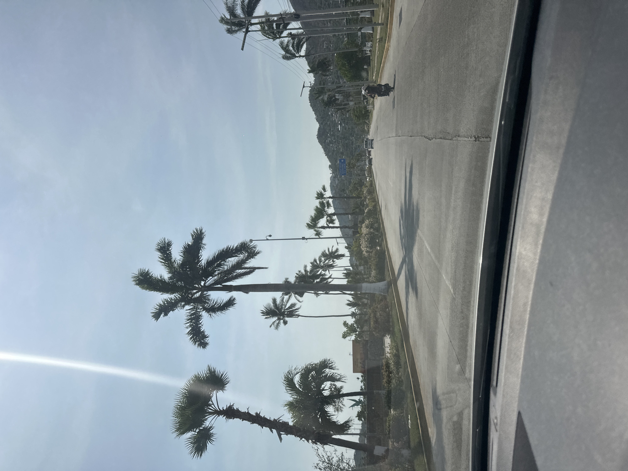 The image shows a palm-tree-lined road in Puerto Marqués, Mexico, viewed from inside a moving vehicle. A gray road stretches away in the distance, where a mountain is partially visible. Palm trees line the road on one side, with buildings and utility poles also present. A motorbike is seen on the road ahead. The interior of the vehicle is visible in the foreground.
