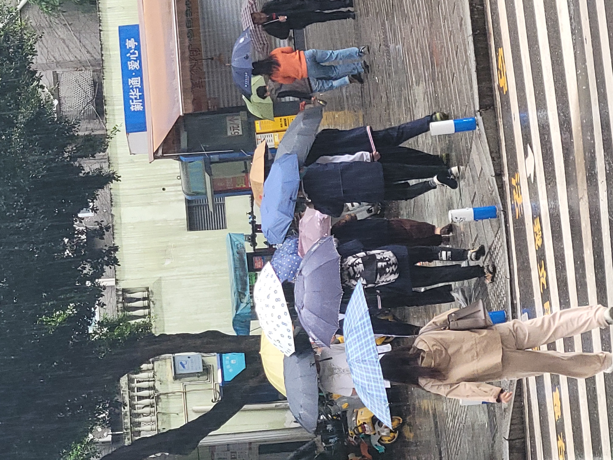 A slightly rotated, eye-level photograph captures a bustling urban street scene in Shapingba District, China, under rainy conditions during daylight hours. Numerous pedestrians are visible, most navigating the wet pavement while holding open umbrellas of various colors including shades of blue, grey, white, yellow, and plaid patterns, indicating ongoing rainfall.
On the right side of the image, a prominent pedestrian crosswalk marked with alternating black and white stripes stretches across the street. Yellow Chinese characters are painted onto these stripes. Two blue and white cylindrical bollards stand on the sidewalk near the crosswalk. A woman dressed in a light brown or beige jacket and trousers is seen from behind, positioned near the crosswalk.
Towards the center and left, more people with umbrellas walk along a sidewalk adjacent to buildings. One individual stands out in a bright orange top and blue jeans, holding a dark blue umbrella. A large, dark green tree occupies the far left, partially obscuring the background.
A light-colored building forms the backdrop, featuring multiple windows and architectural details like balusters. A blue rectangular sign is affixed to this building, displaying Chinese characters that read "新华通·爱心亭" (Xīnhuá Tōng · Àixīn Tíng), translating to "Xinhua Tong · Love Hut/Pavilion." Another smaller sign, partially visible, shows "5元" (5 Yuan), likely indicating a price. The scene portrays daily urban life continuing amidst the rain.